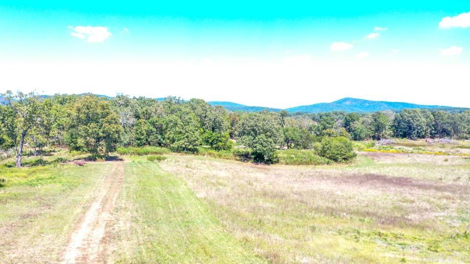 684 Old Waters  Oden, AR