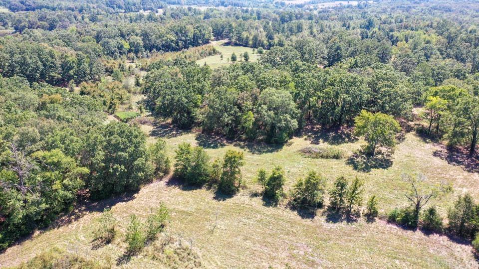 684 Old Waters  Oden, AR