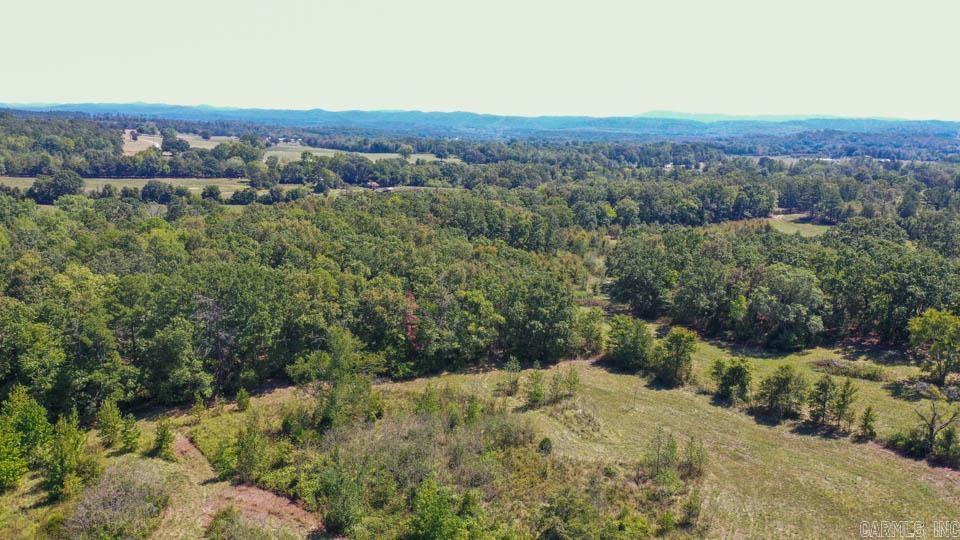 684 Old Waters  Oden, AR