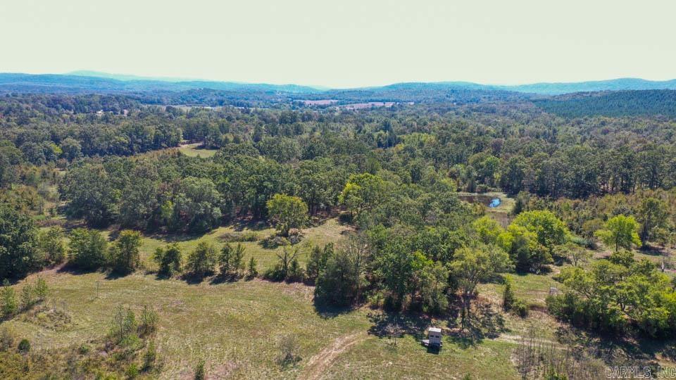 684 Old Waters  Oden, AR