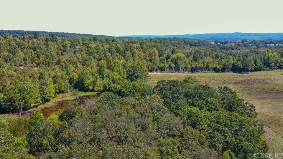 684 Old Waters  Oden, AR