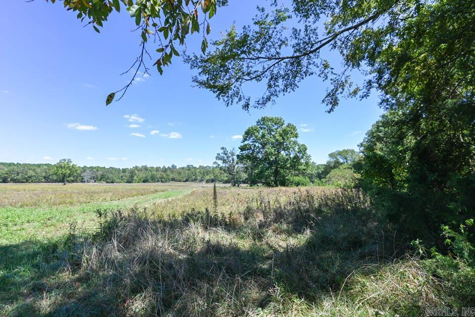 684 Old Waters  Oden, AR