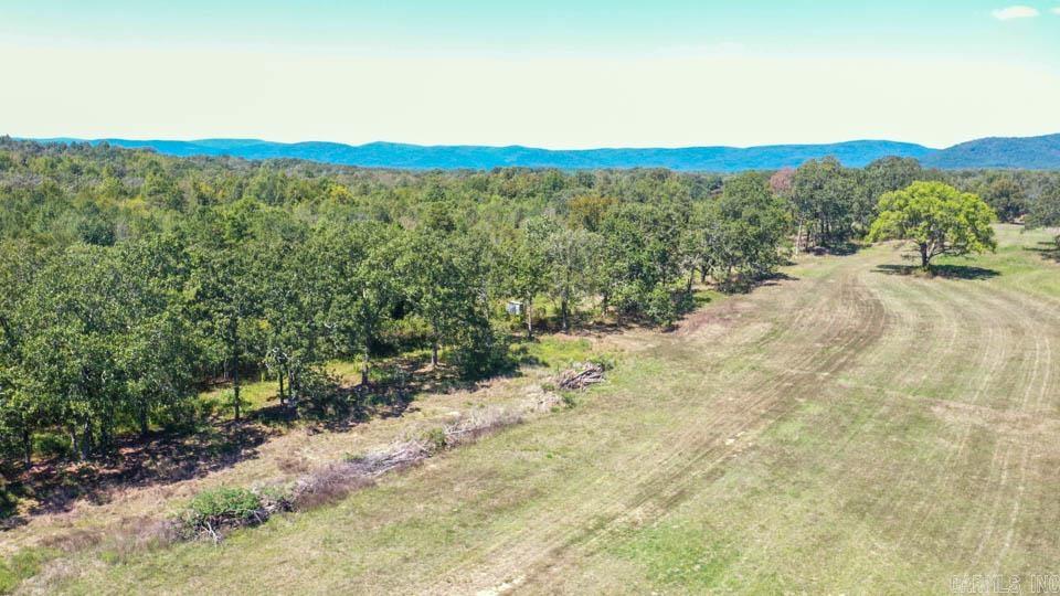684 Old Waters  Oden, AR