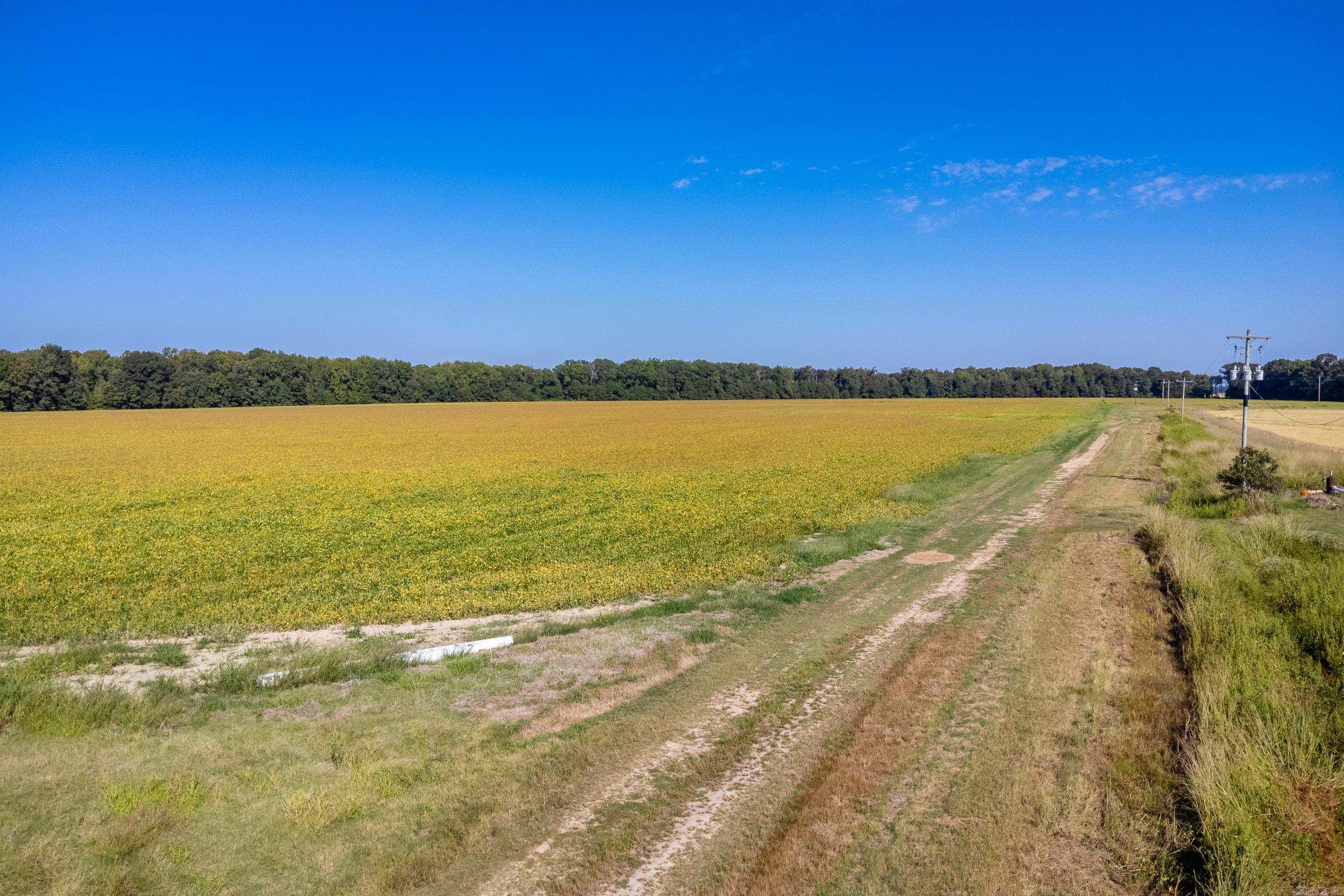 00 Gray Road  Des Arc, AR