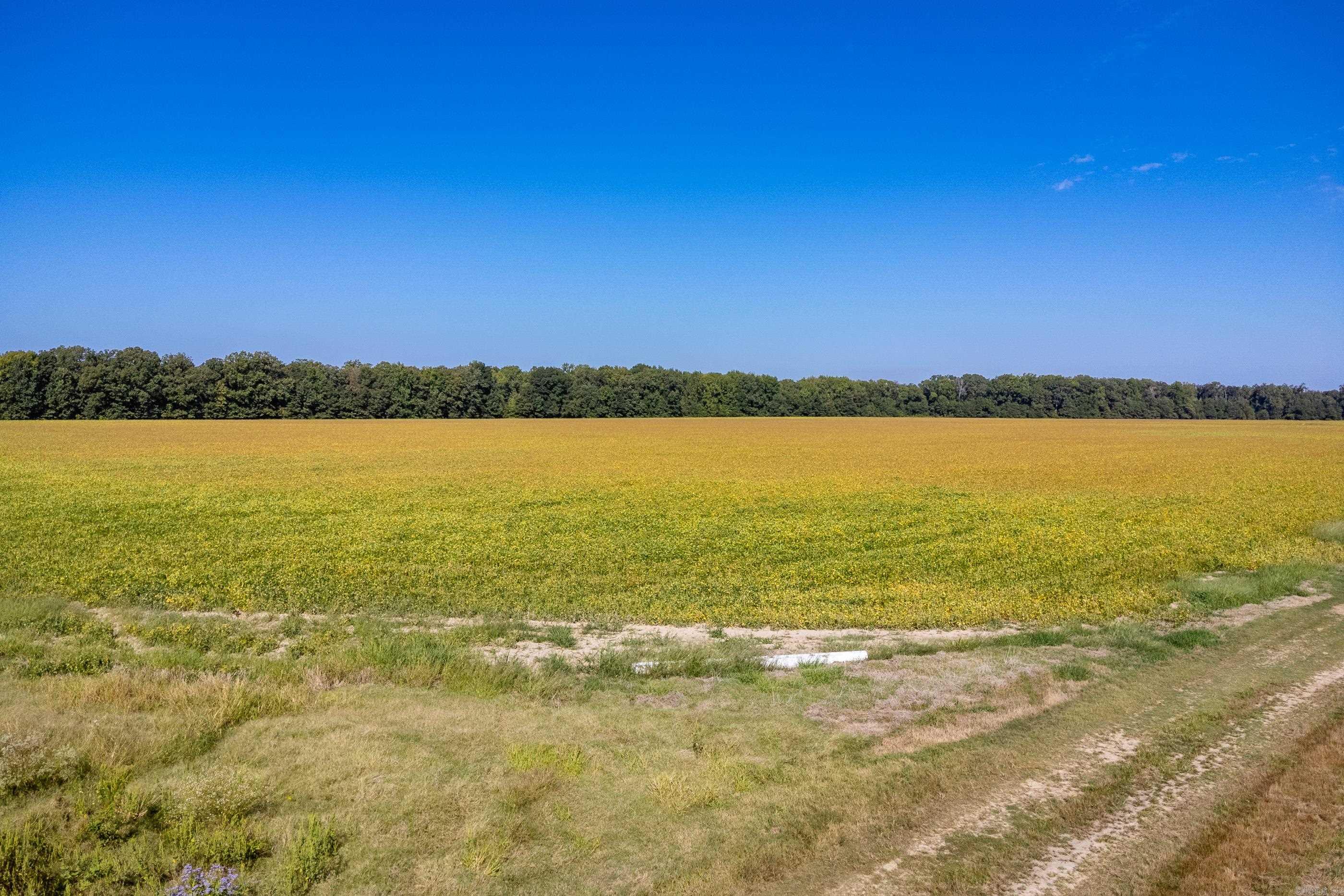 00 Gray Road  Des Arc, AR