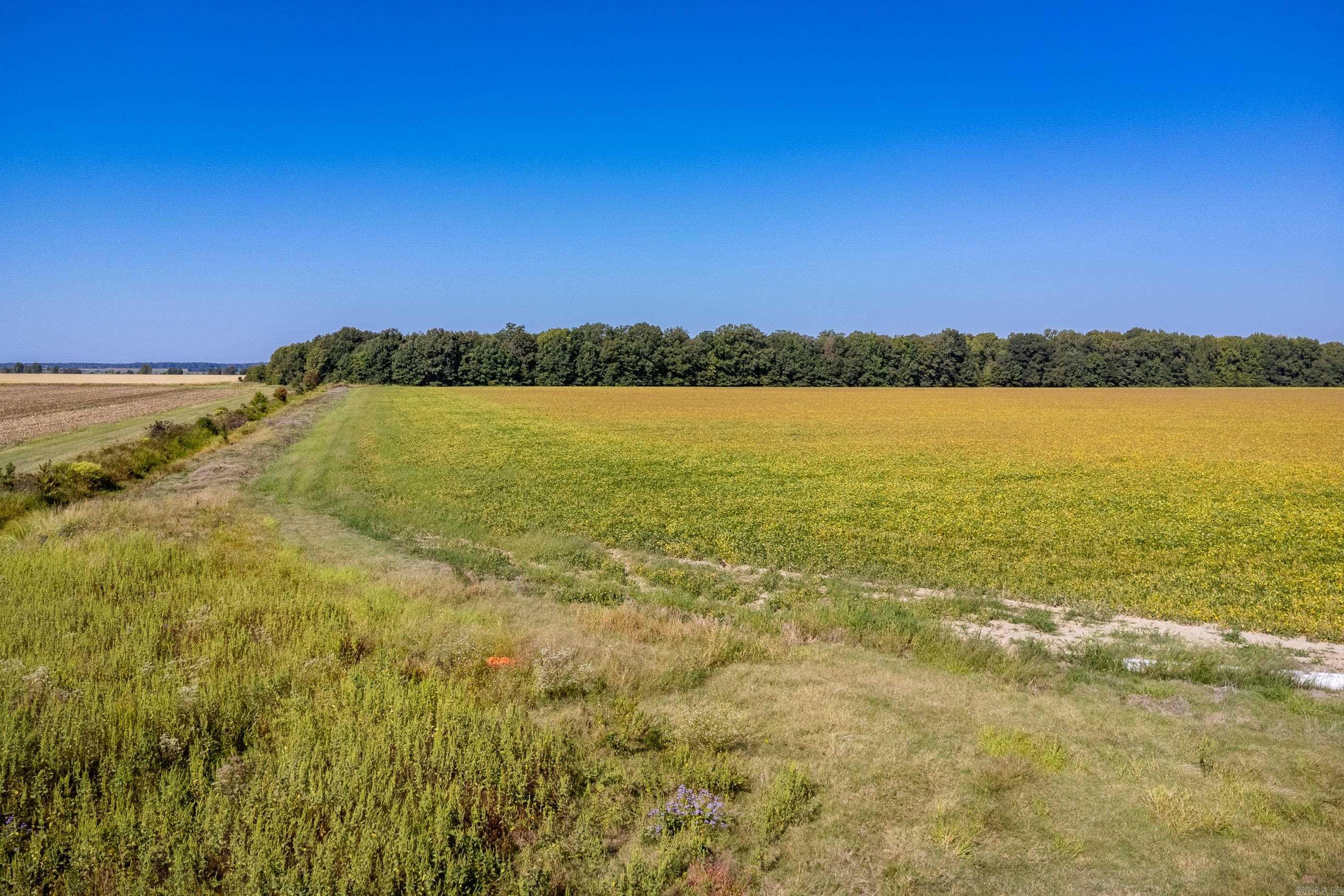 00 Gray Road  Des Arc, AR