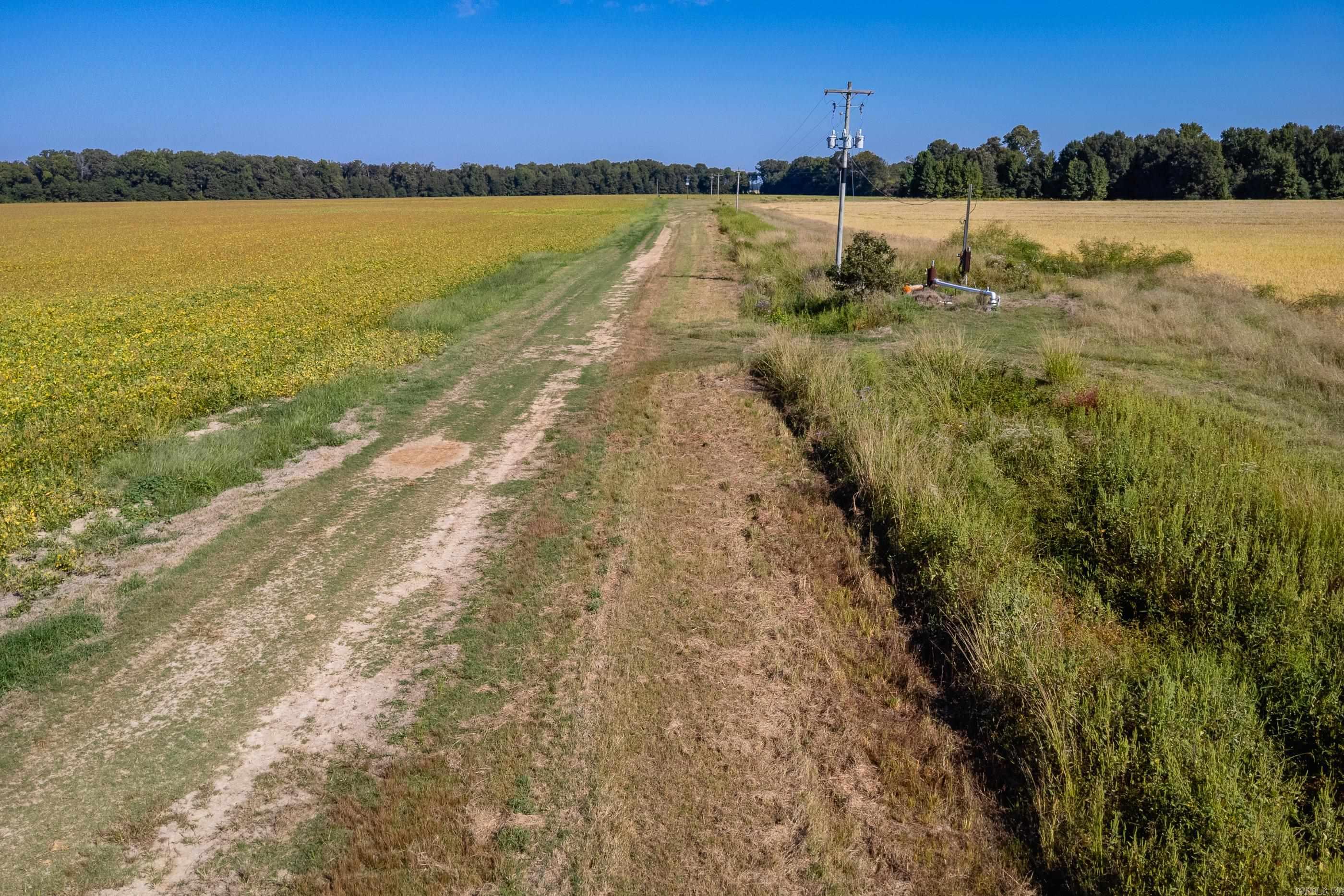 00 Gray Road  Des Arc, AR