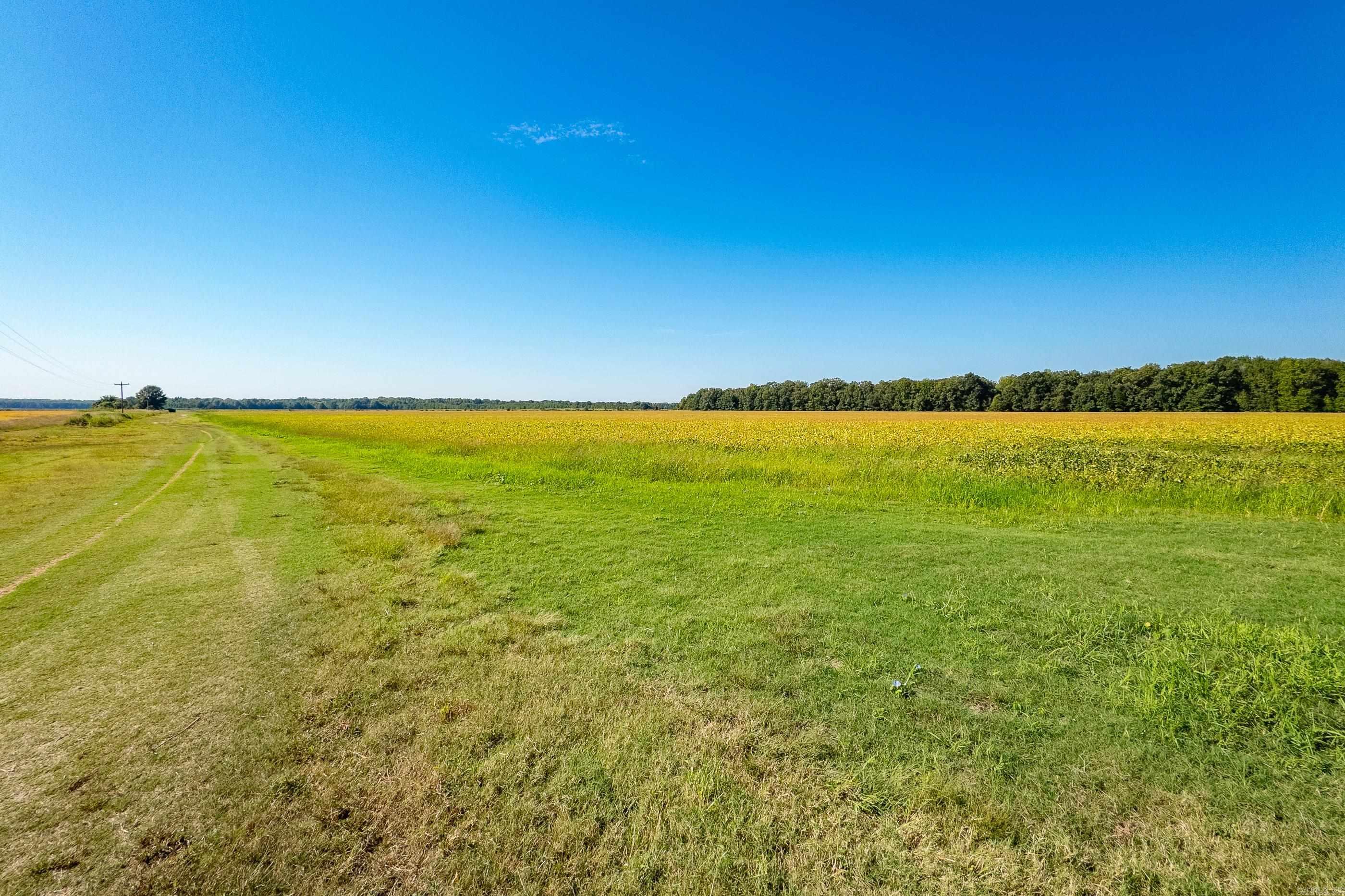 00 Gray Road  Des Arc, AR