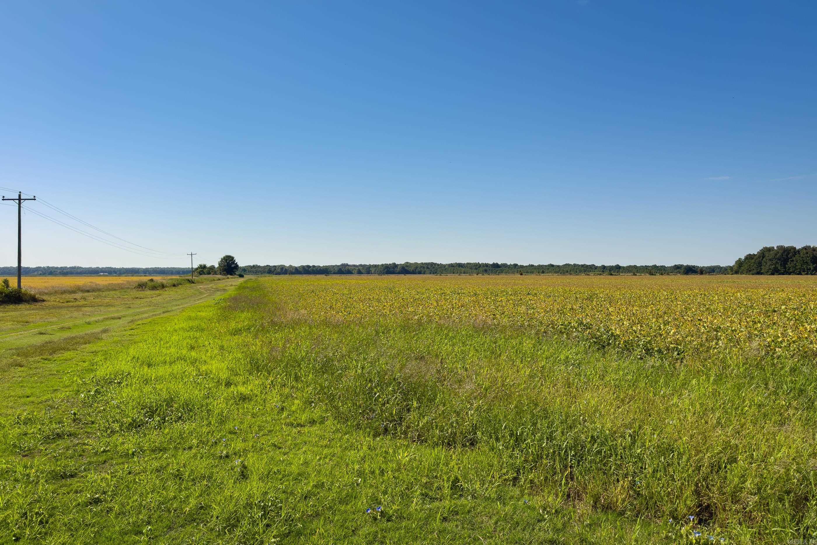 00 Gray Road  Des Arc, AR
