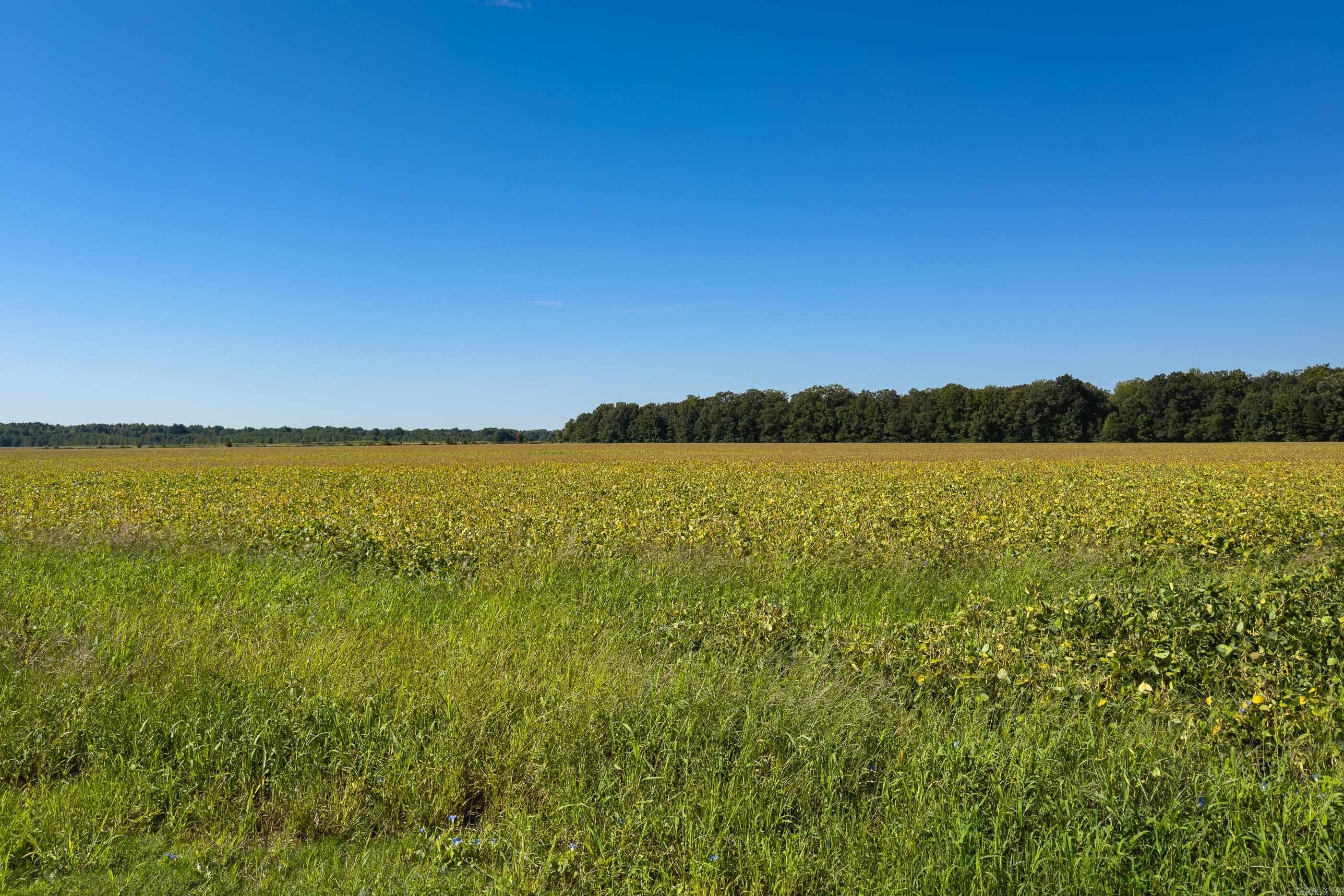 00 Gray Road  Des Arc, AR