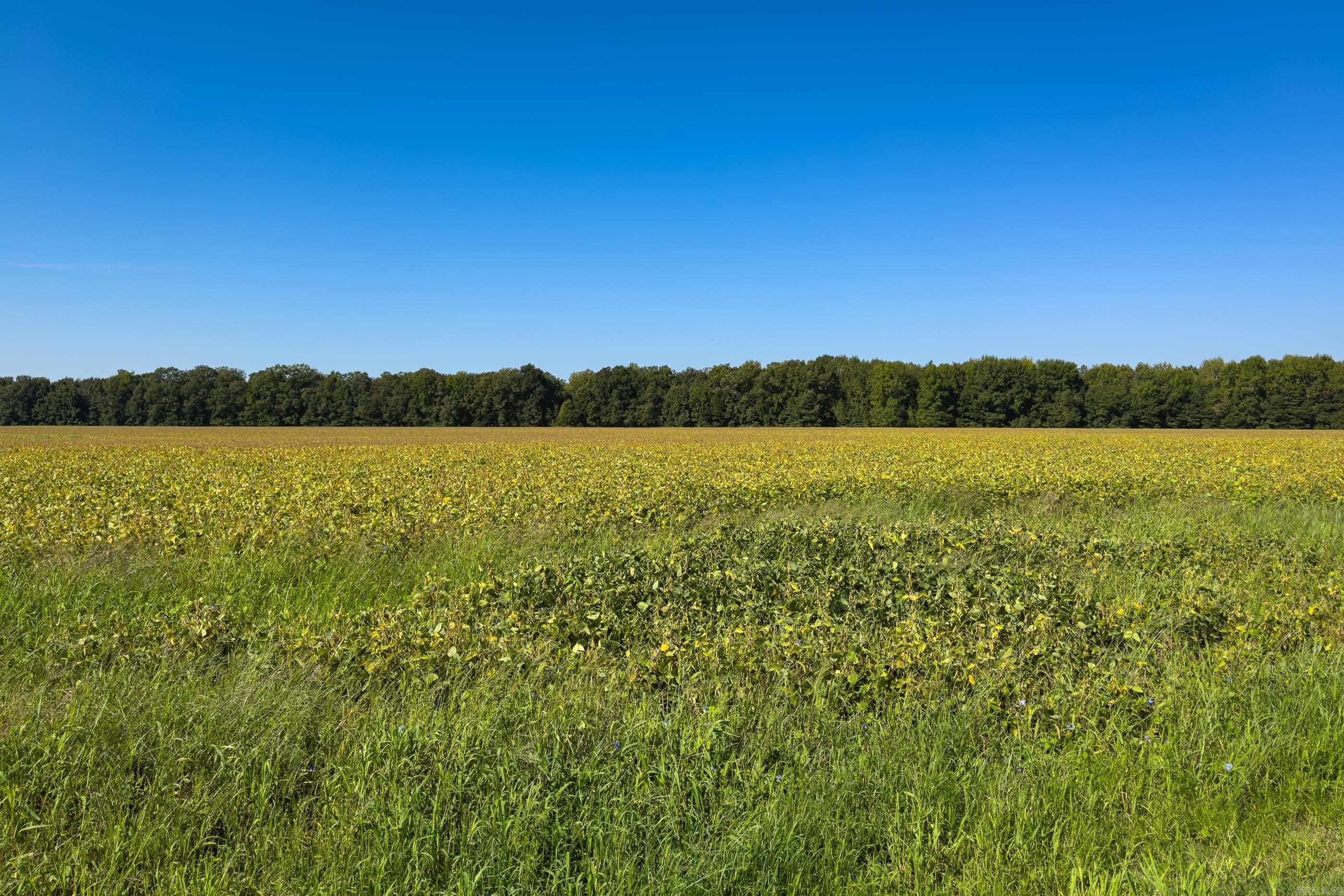 00 Gray Road  Des Arc, AR