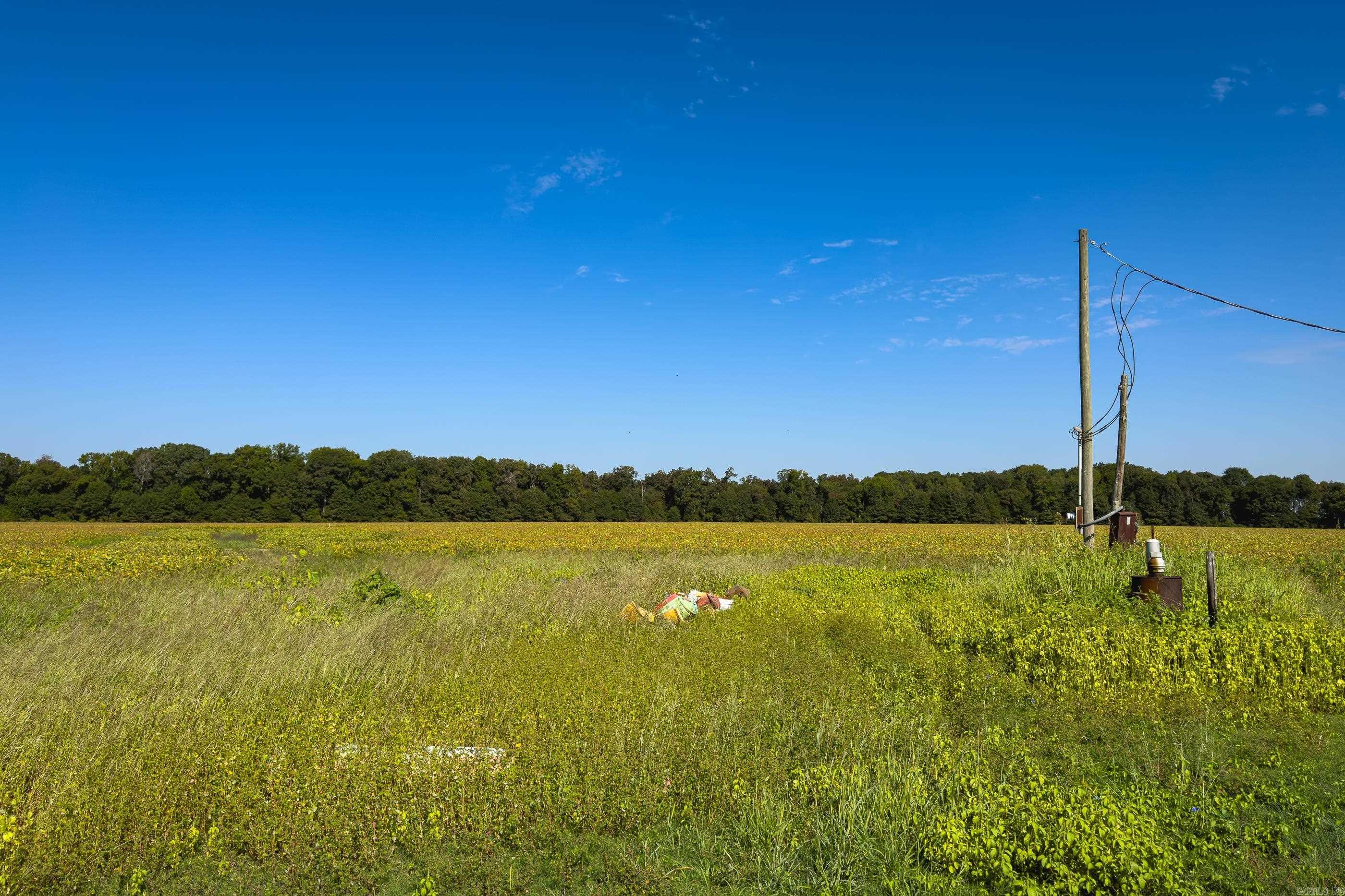 00 Gray Road  Des Arc, AR