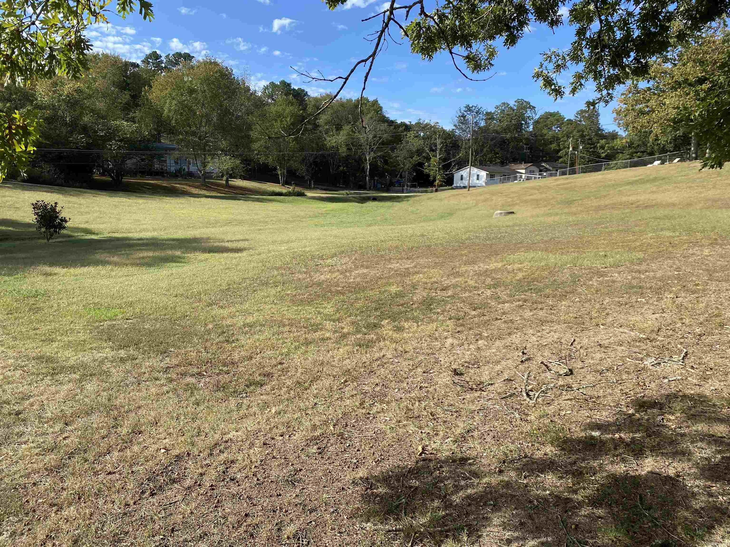 204 Laurel  Mount Ida, AR