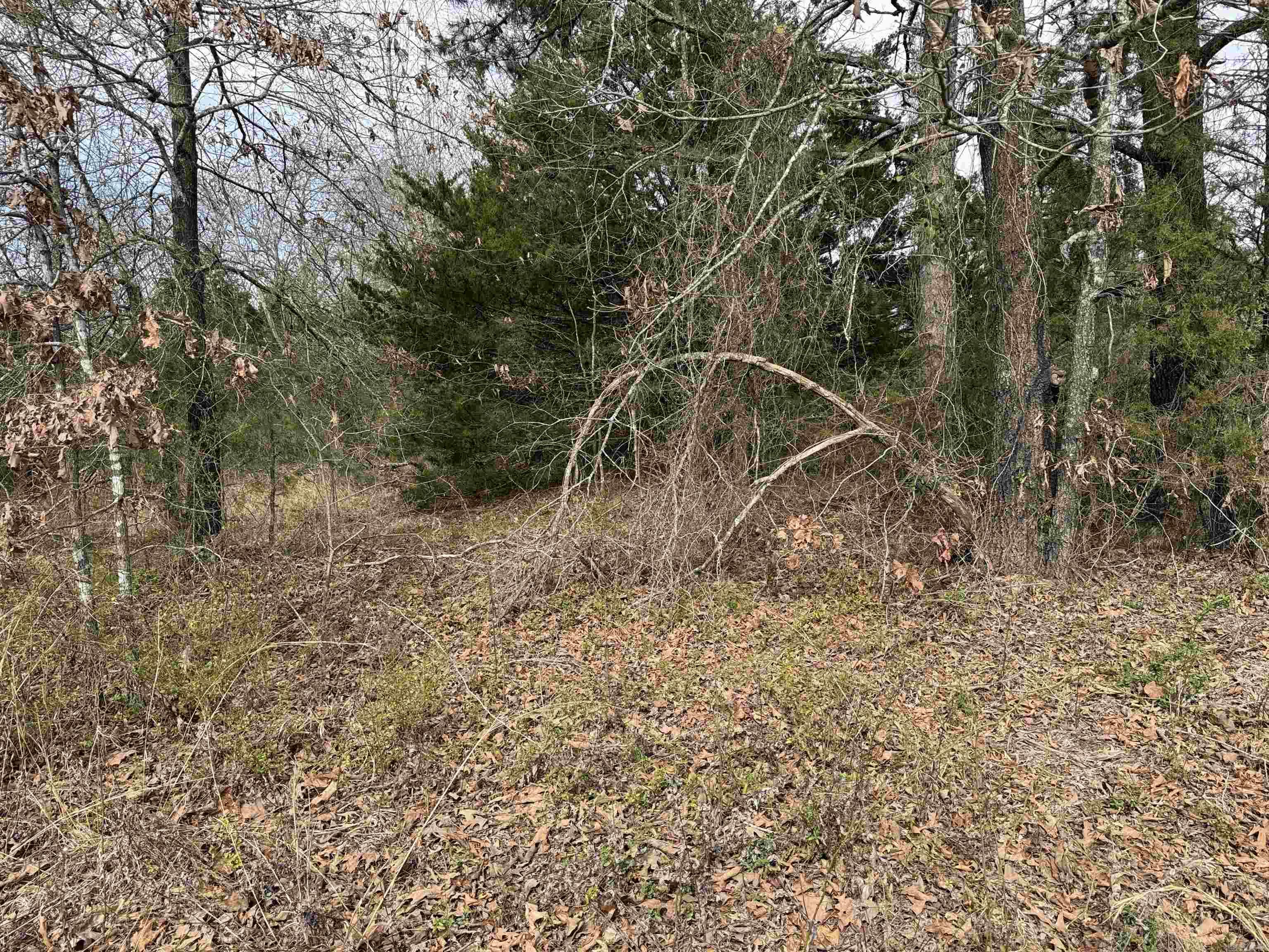 00 Edgemont Road  Greers Ferry, AR