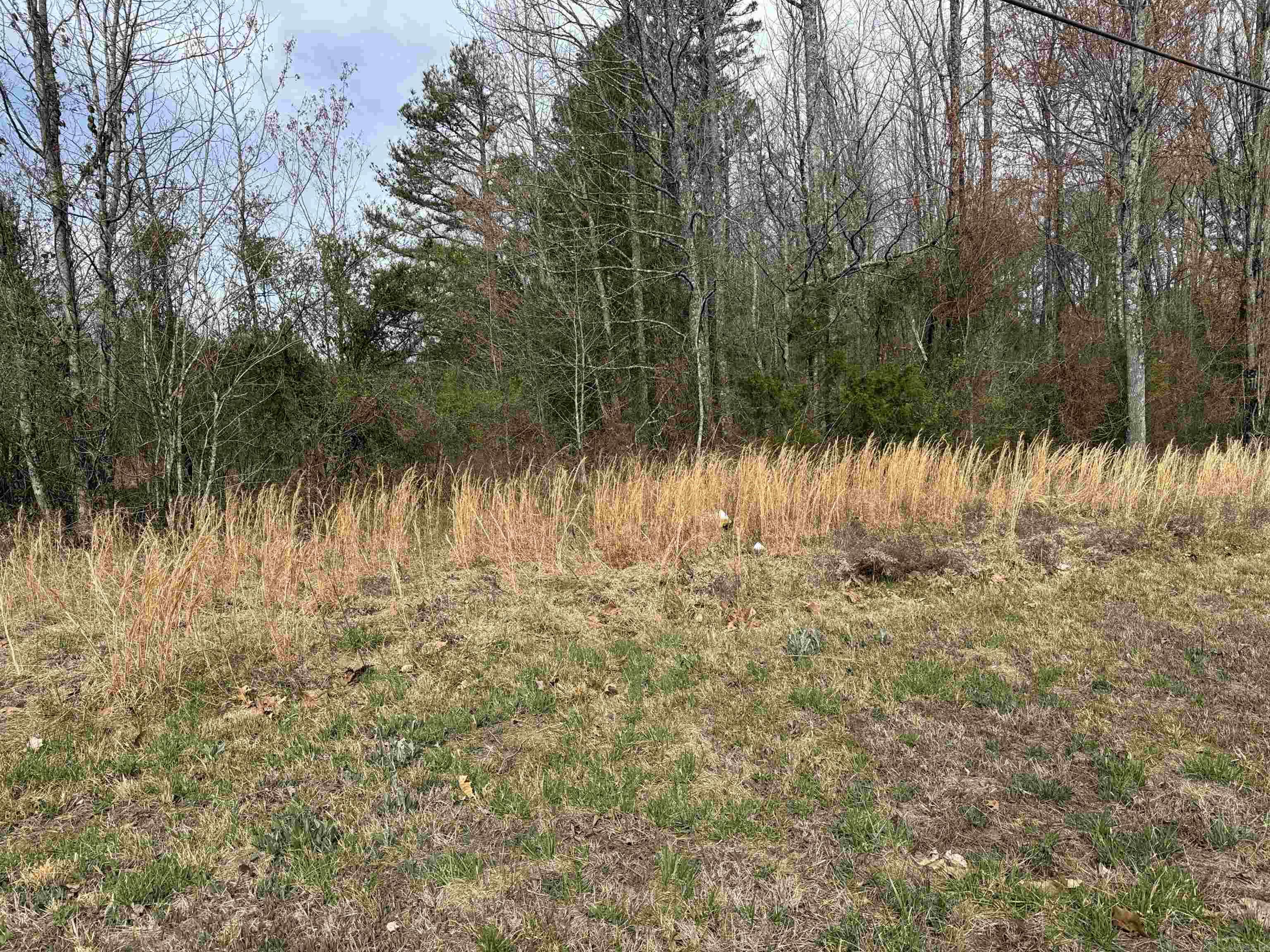 00 Edgemont Road  Greers Ferry, AR