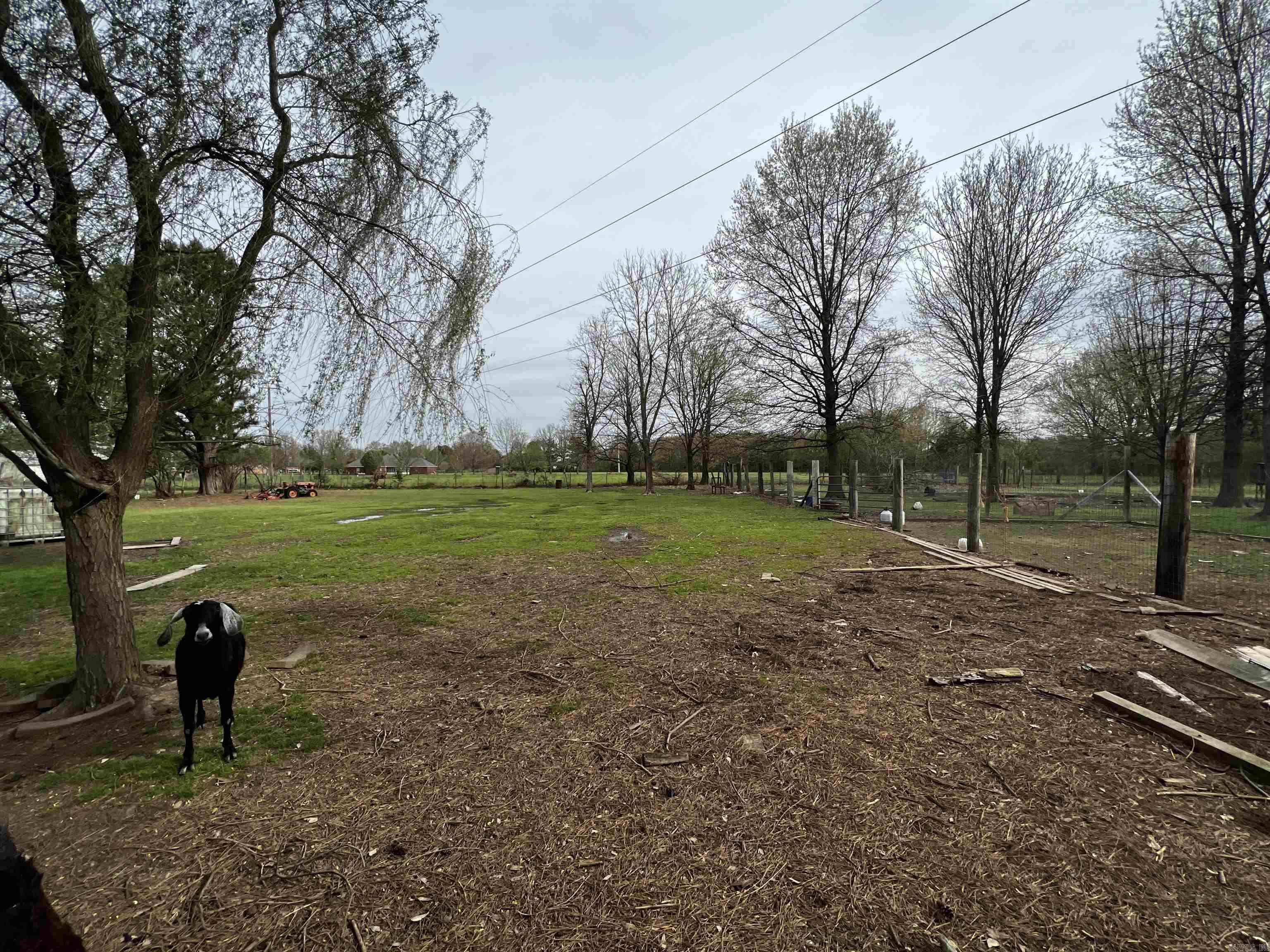 3220 Horseshoe Trails  Jonesboro, AR