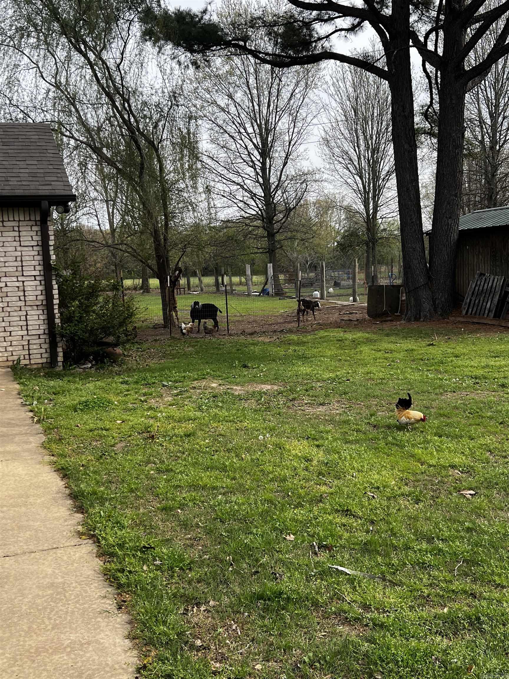 3220 Horseshoe Trails  Jonesboro, AR