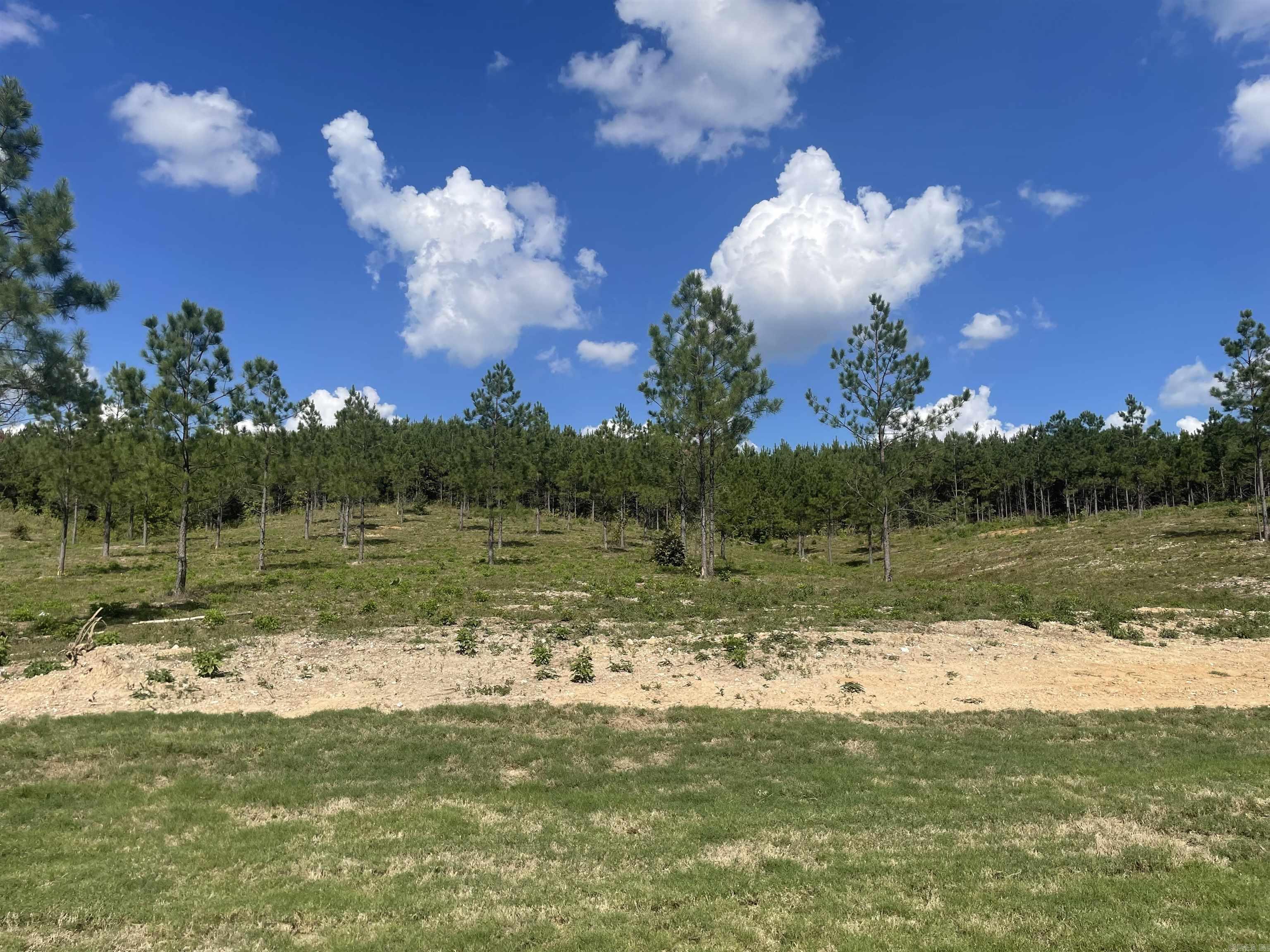 9690 Gunter Loop  Benton, AR