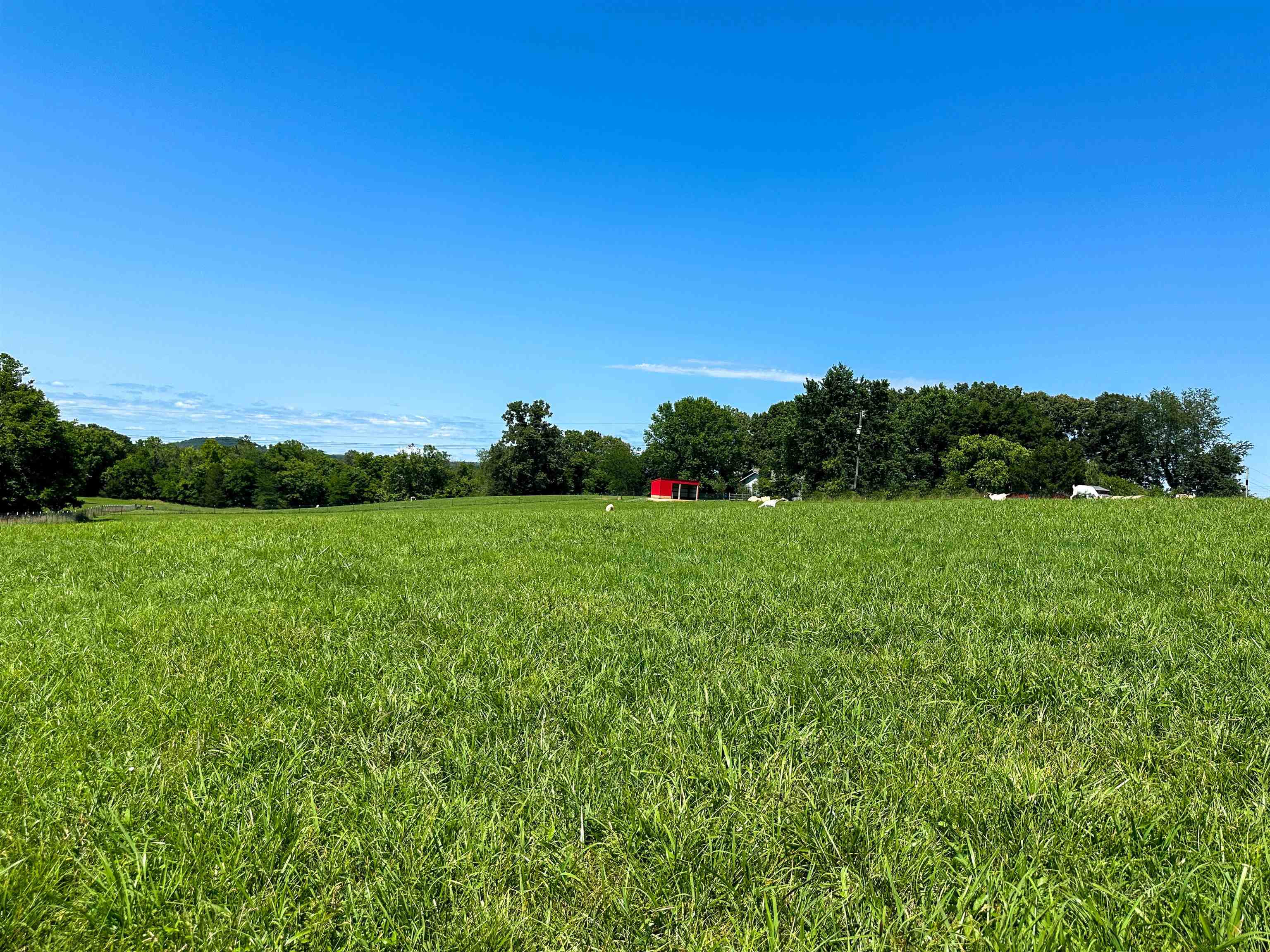 351 Township  Pocahontas, AR