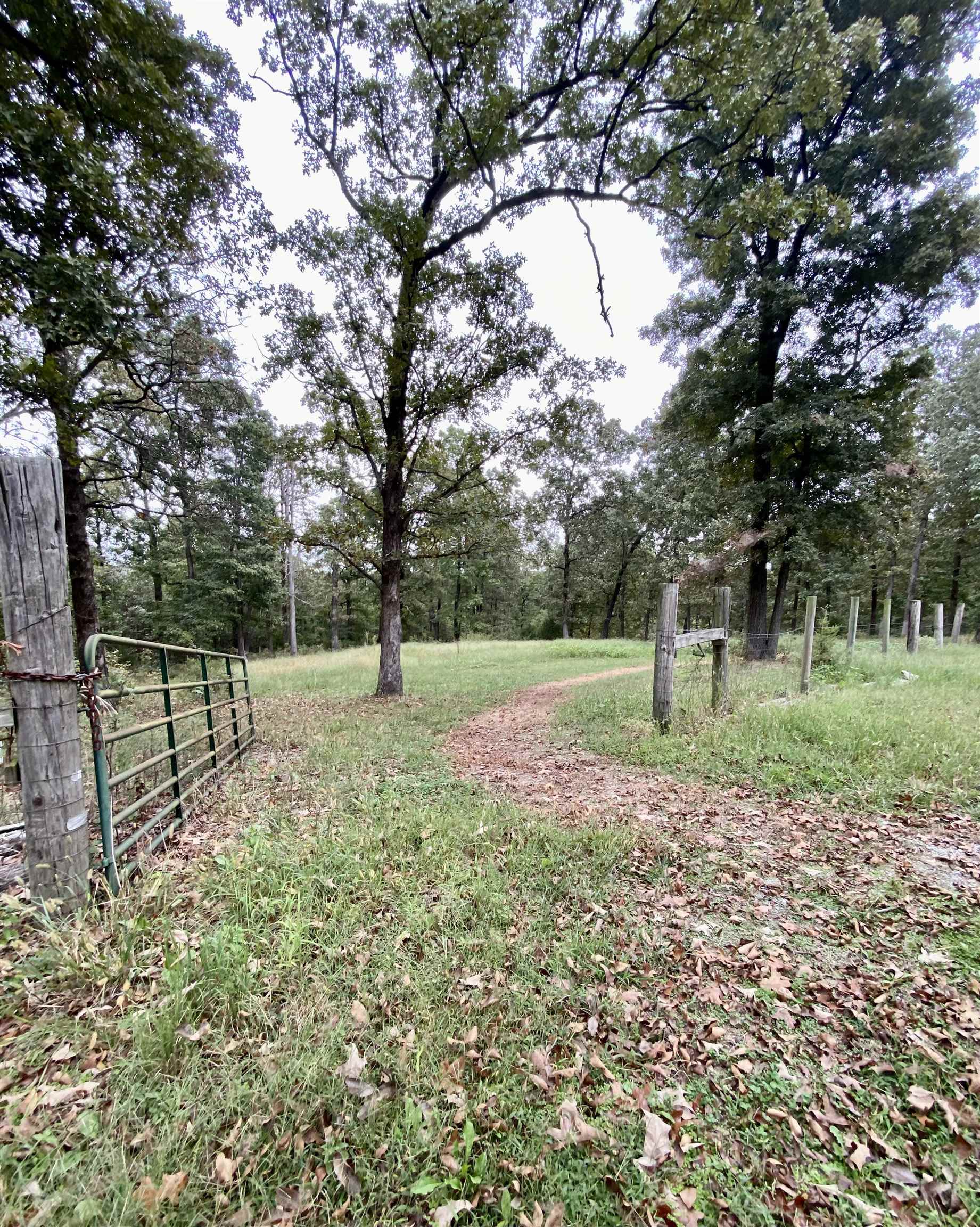 100 Kearby  Pocahontas, AR