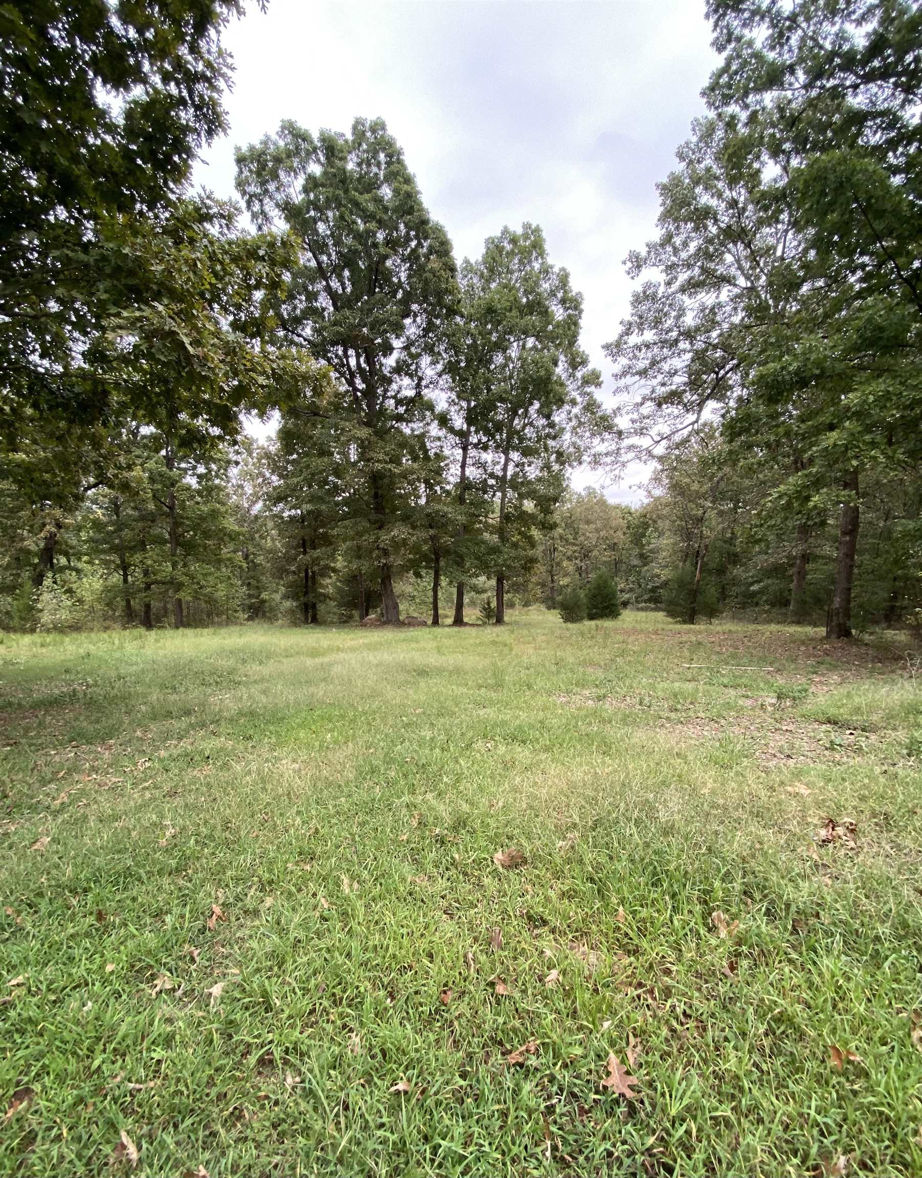 100 Kearby  Pocahontas, AR