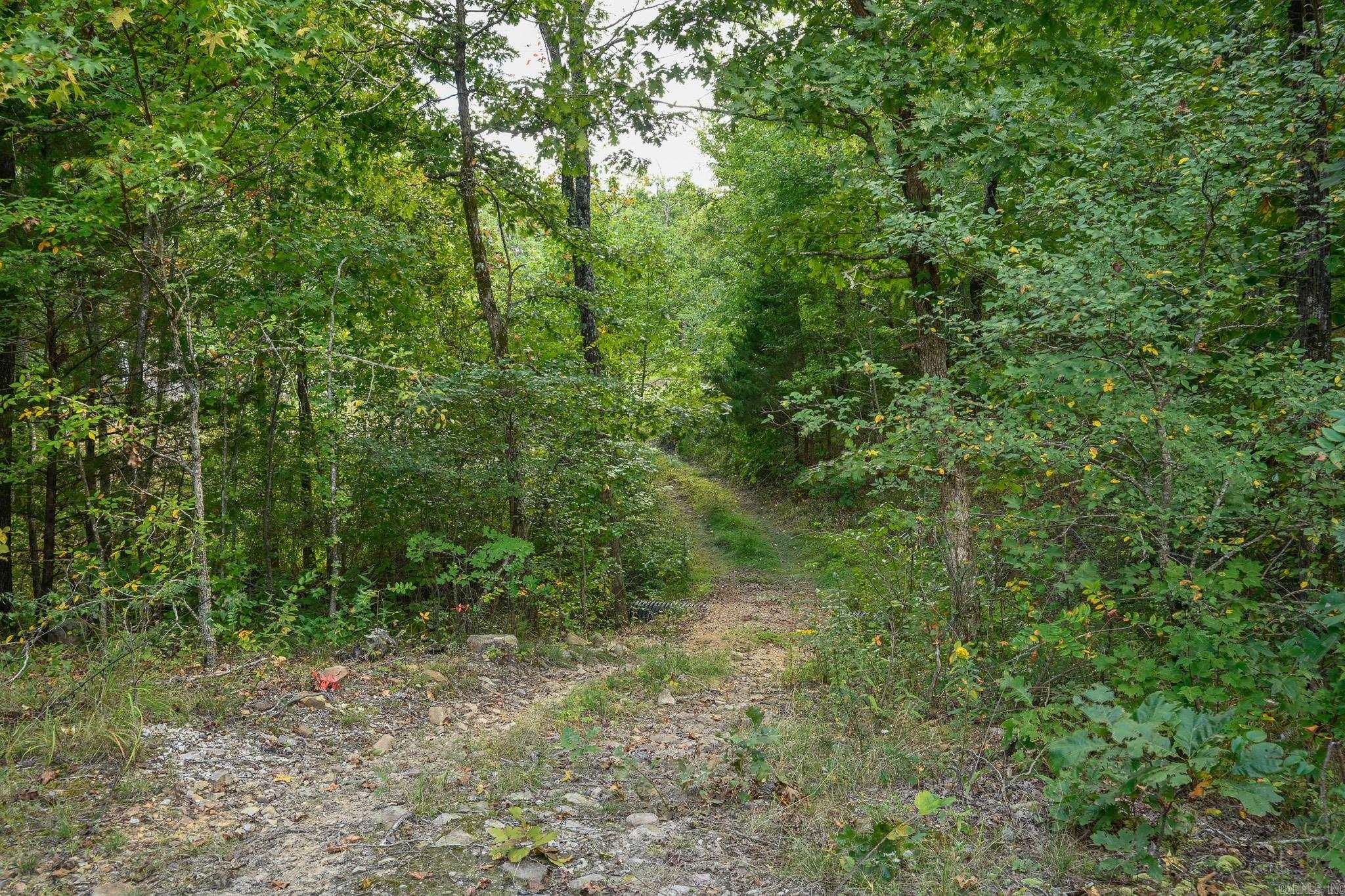 1449 Highway 270  Mena, AR