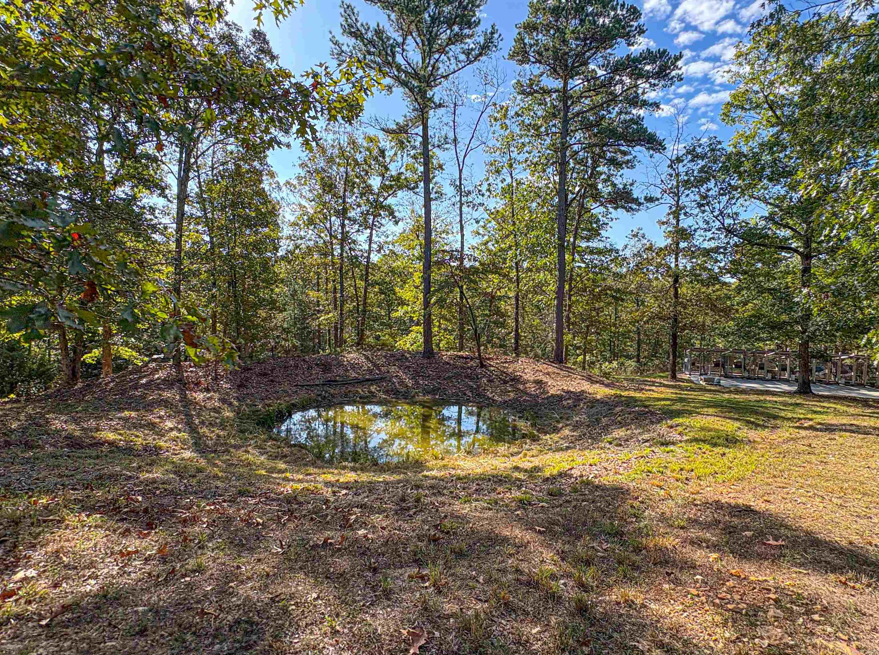 8081 S Hwy 14  Yellville, AR
