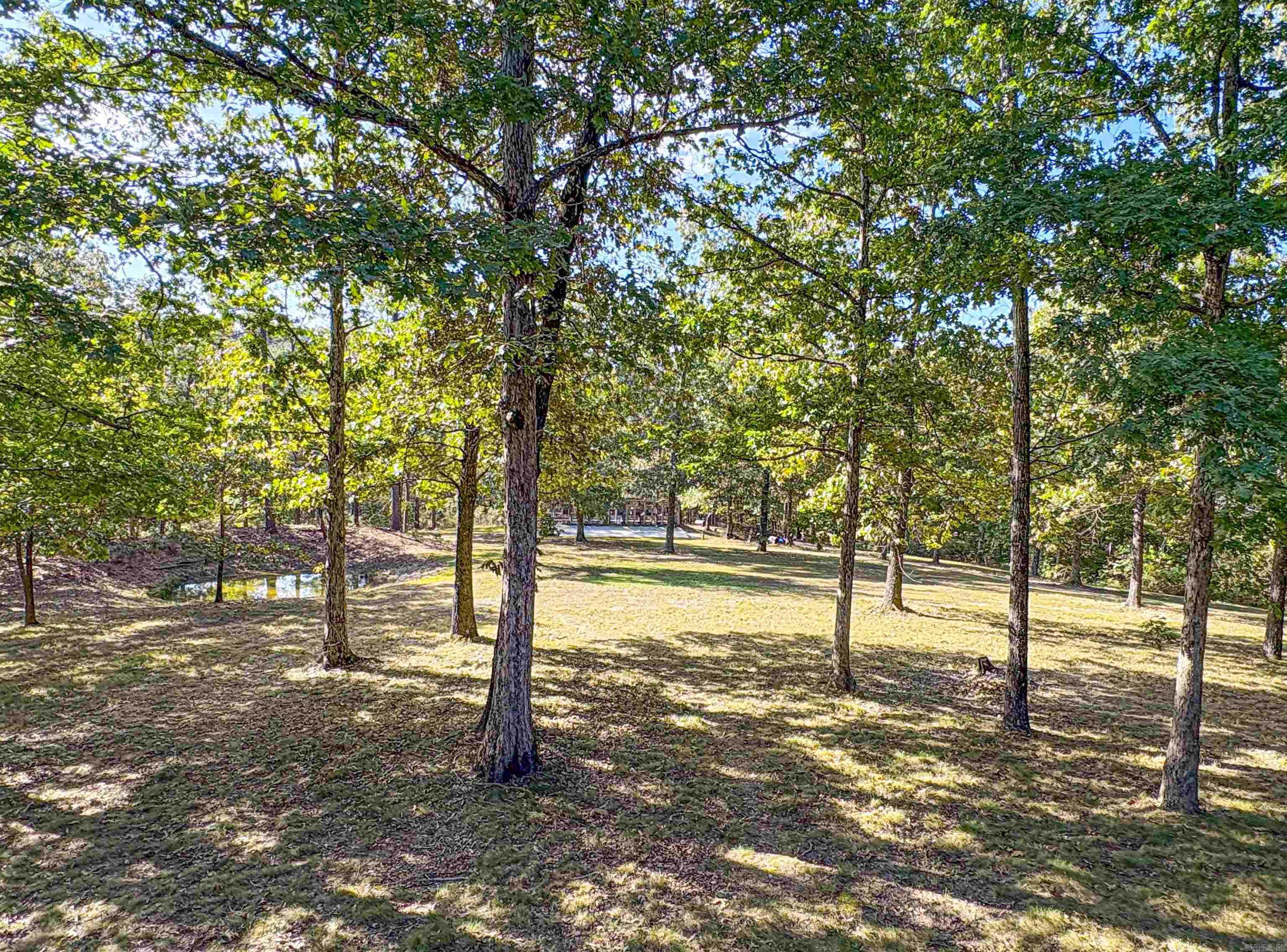8081 S Hwy 14  Yellville, AR
