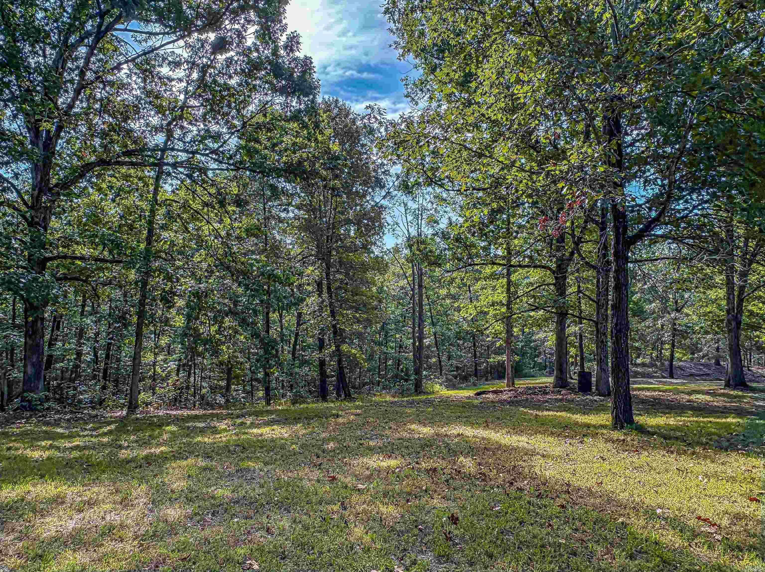 8081 S Hwy 14  Yellville, AR