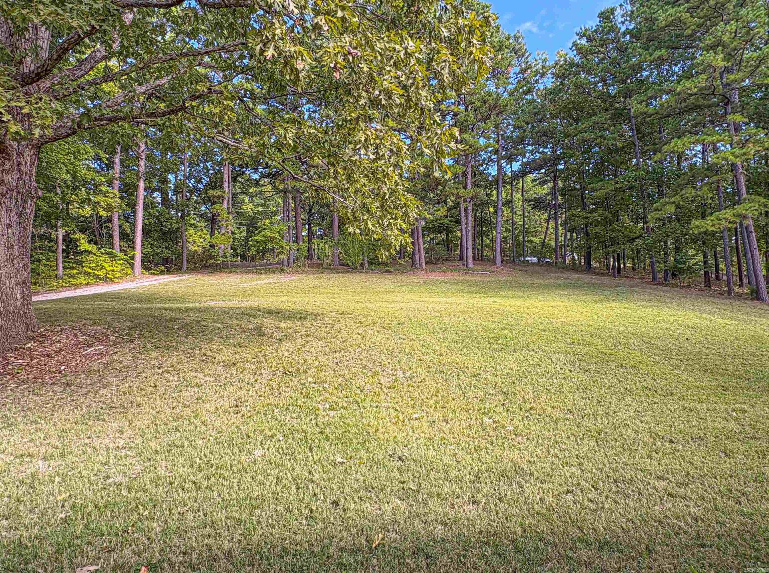 8081 S Hwy 14  Yellville, AR