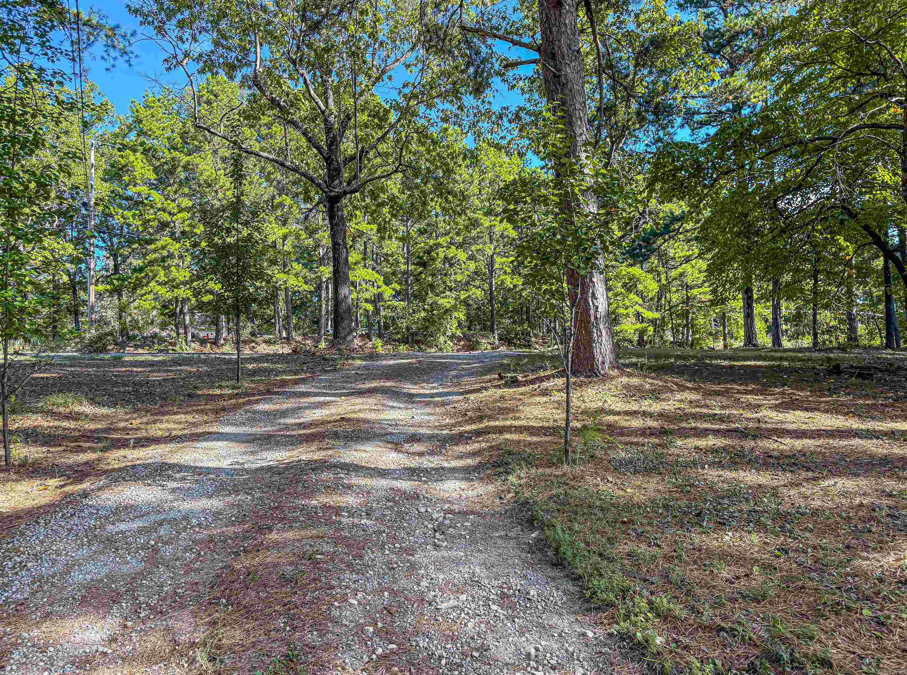8081 S Hwy 14  Yellville, AR