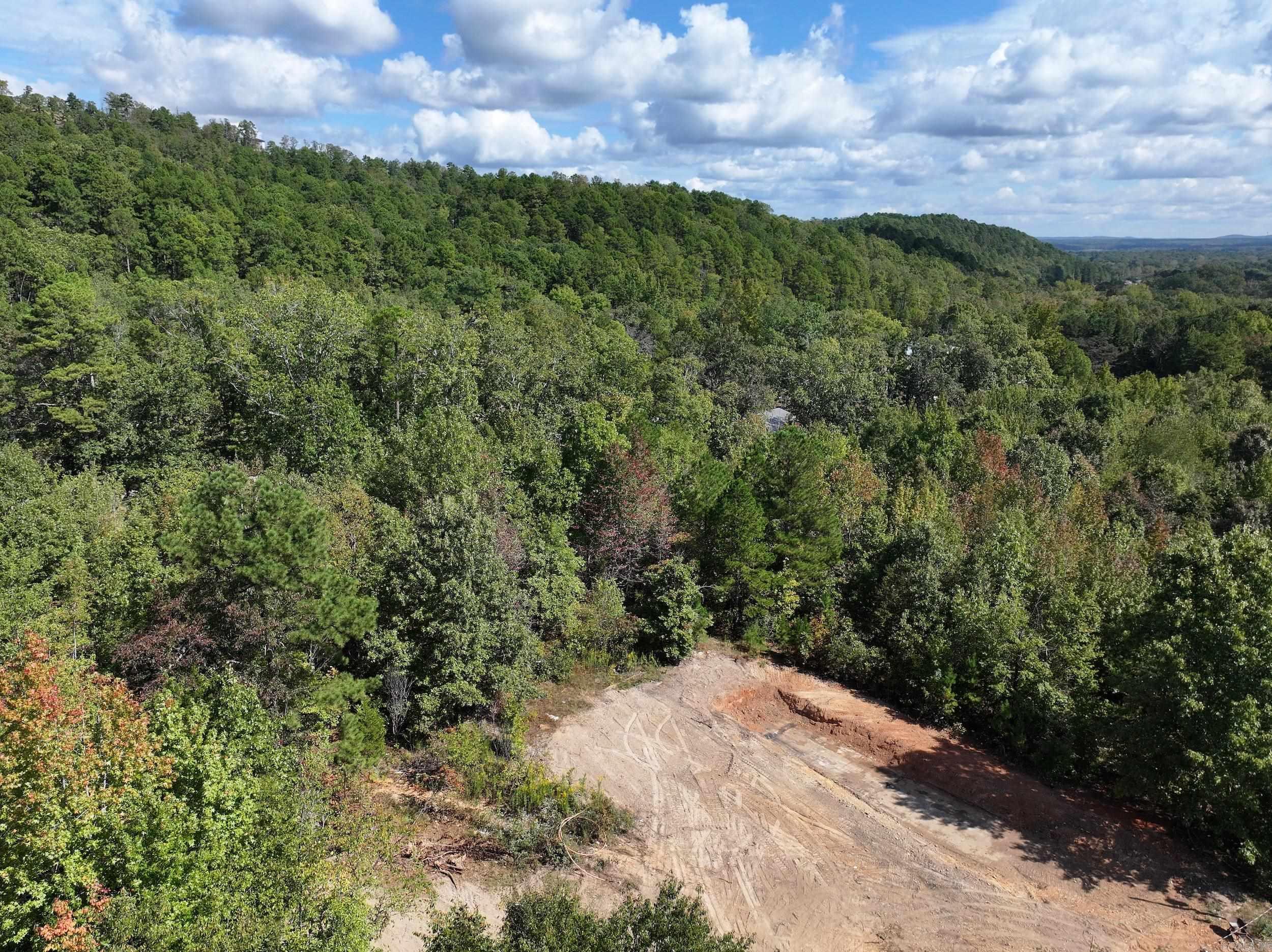 168 Ulcer Acres  Hot Springs, AR