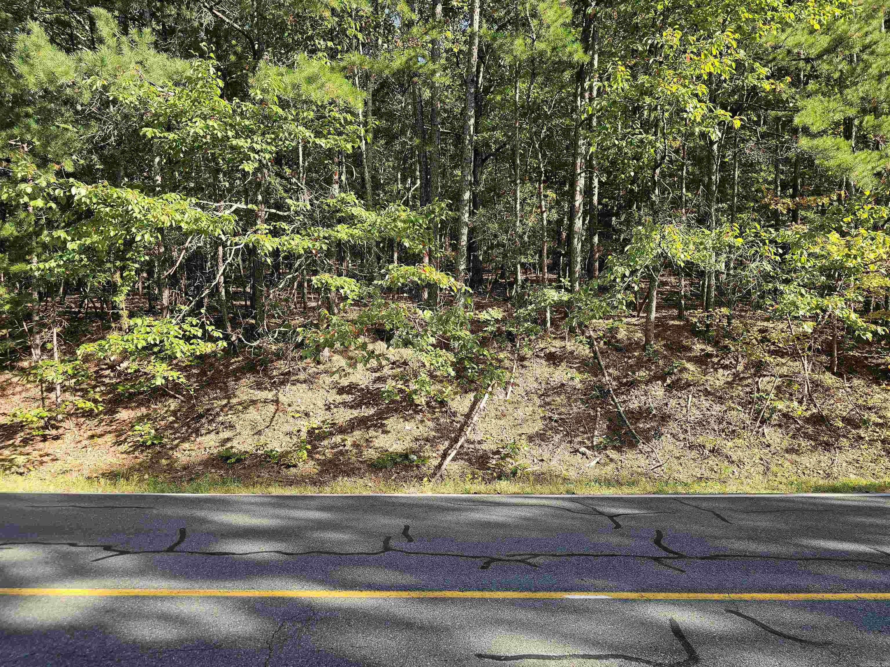 103 E Villena East Dr  Hot Springs Village, AR