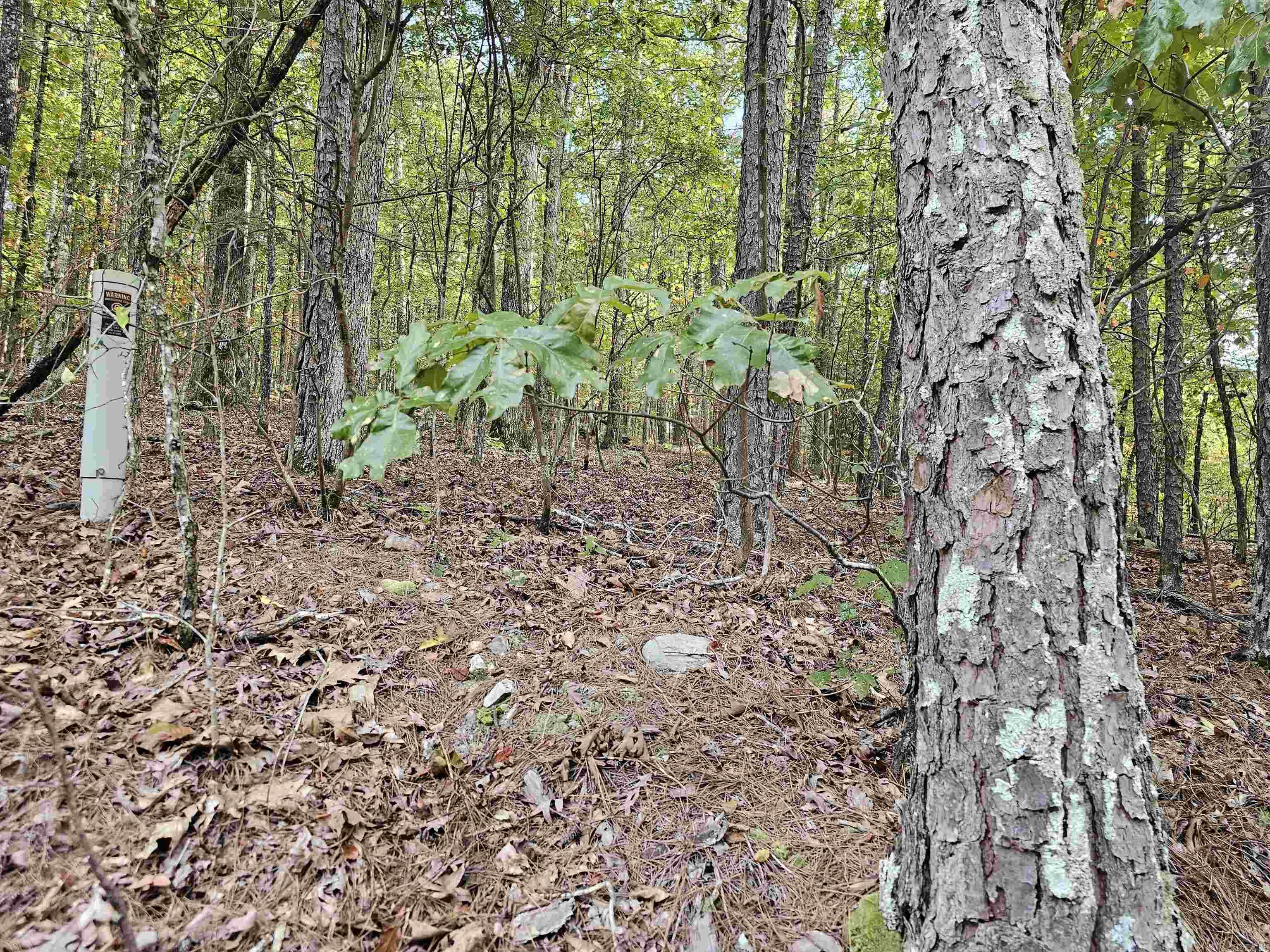 103 E Villena East Dr  Hot Springs Village, AR