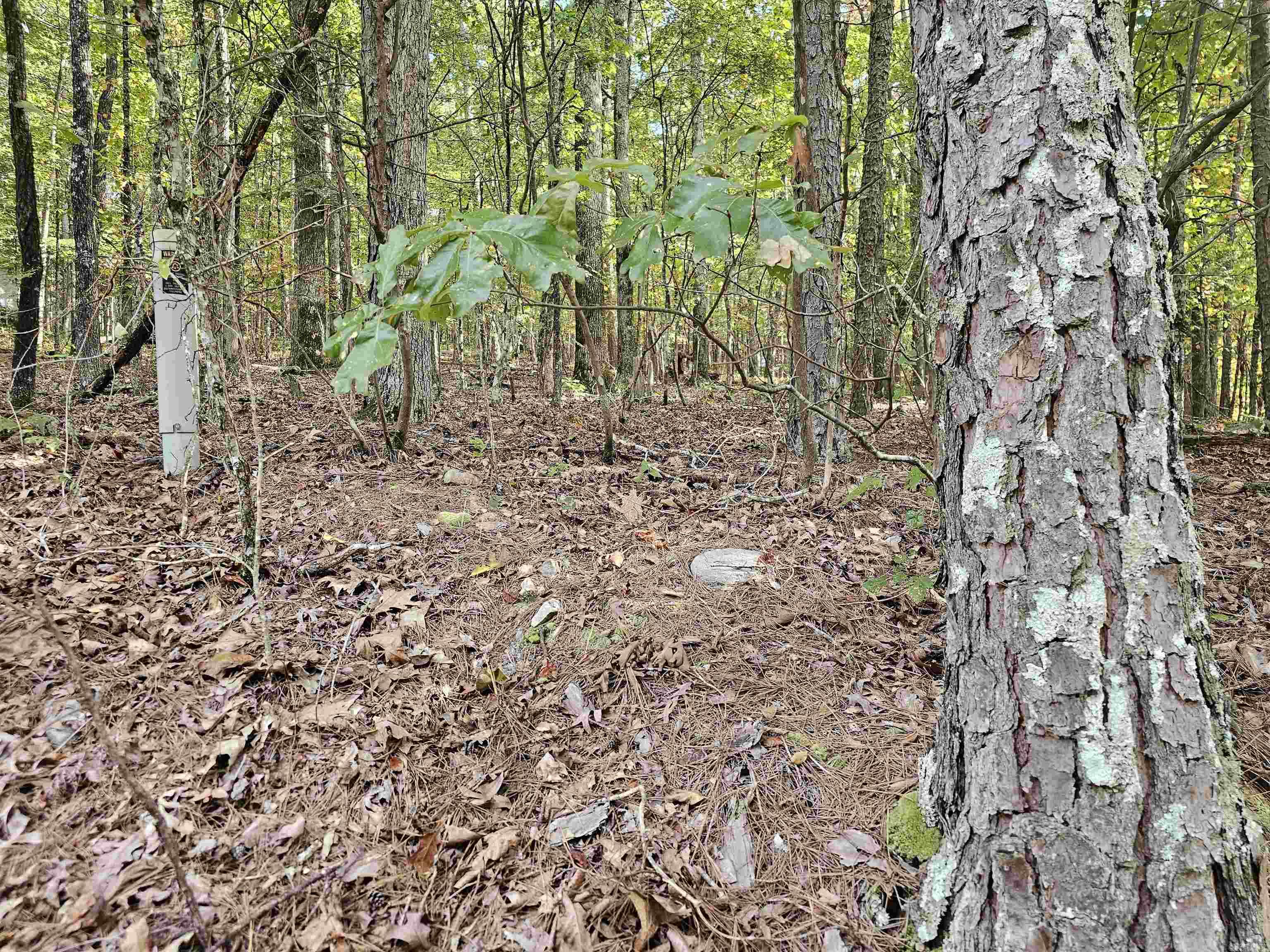103 E Villena East Dr  Hot Springs Village, AR