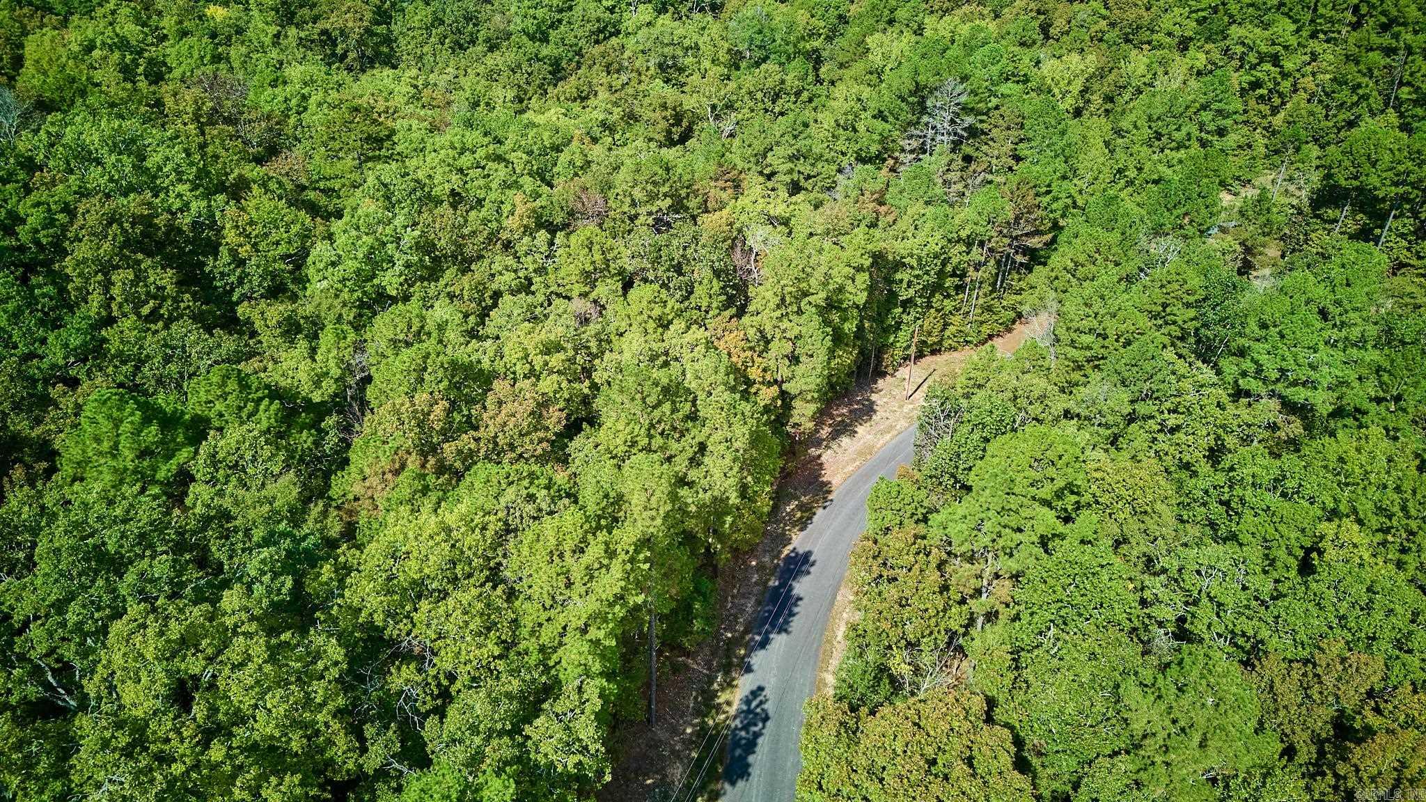 Lot 16 Tall Hickory Road  Hot Springs, AR