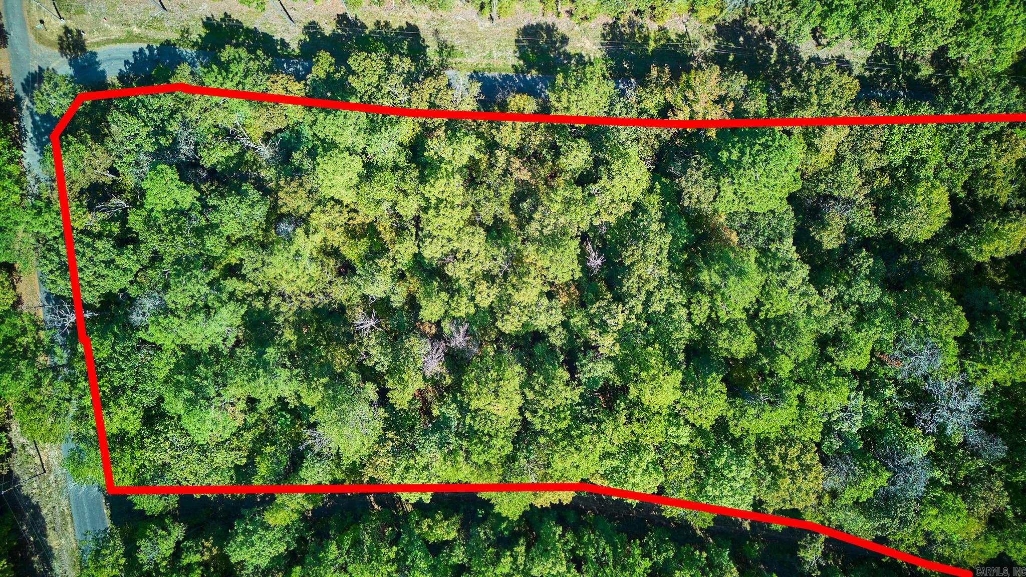 Lot 16 Tall Hickory Road  Hot Springs, AR