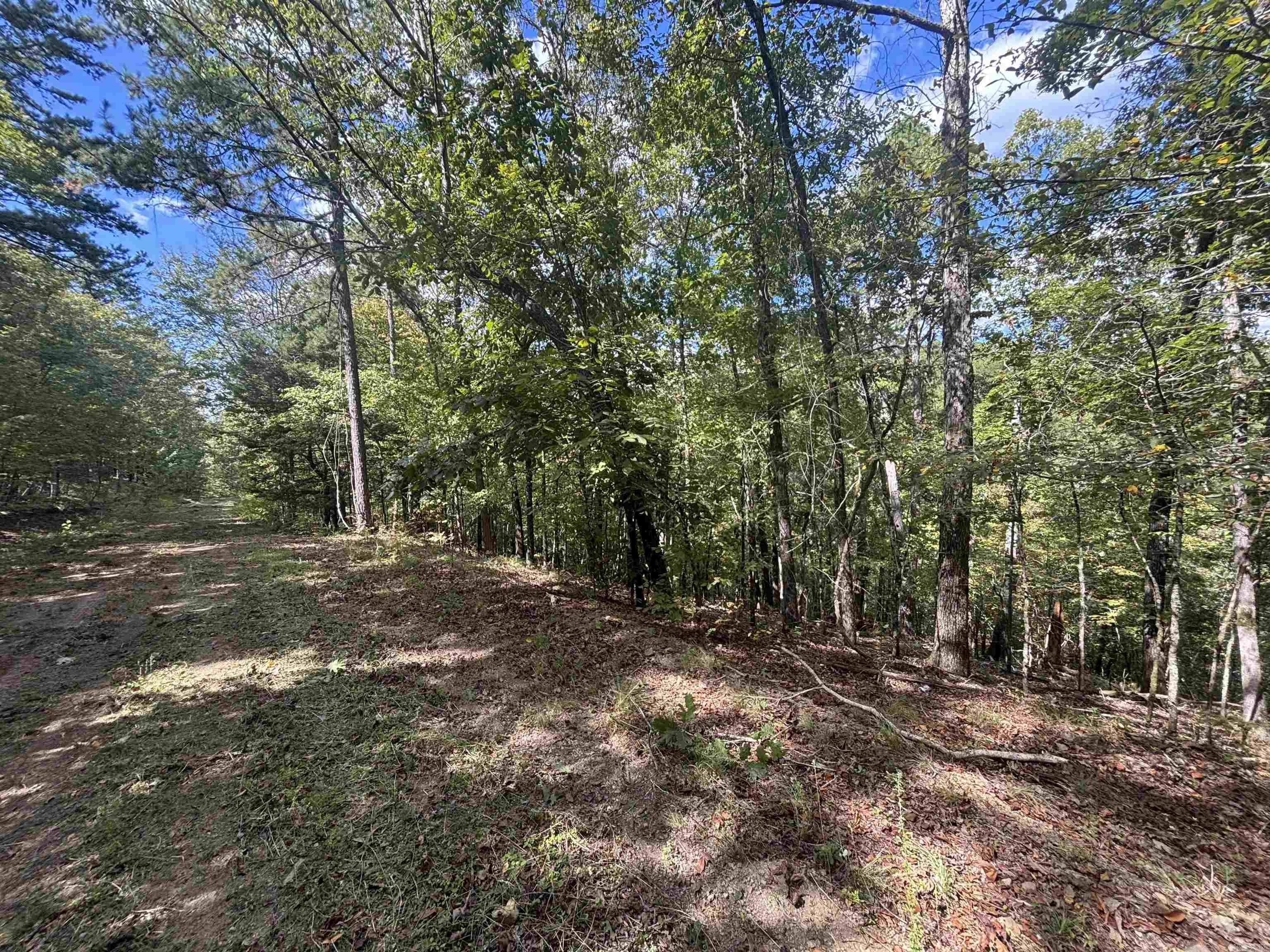 Lot 17 & 18 Tall Hickory Road  Hot Springs, AR