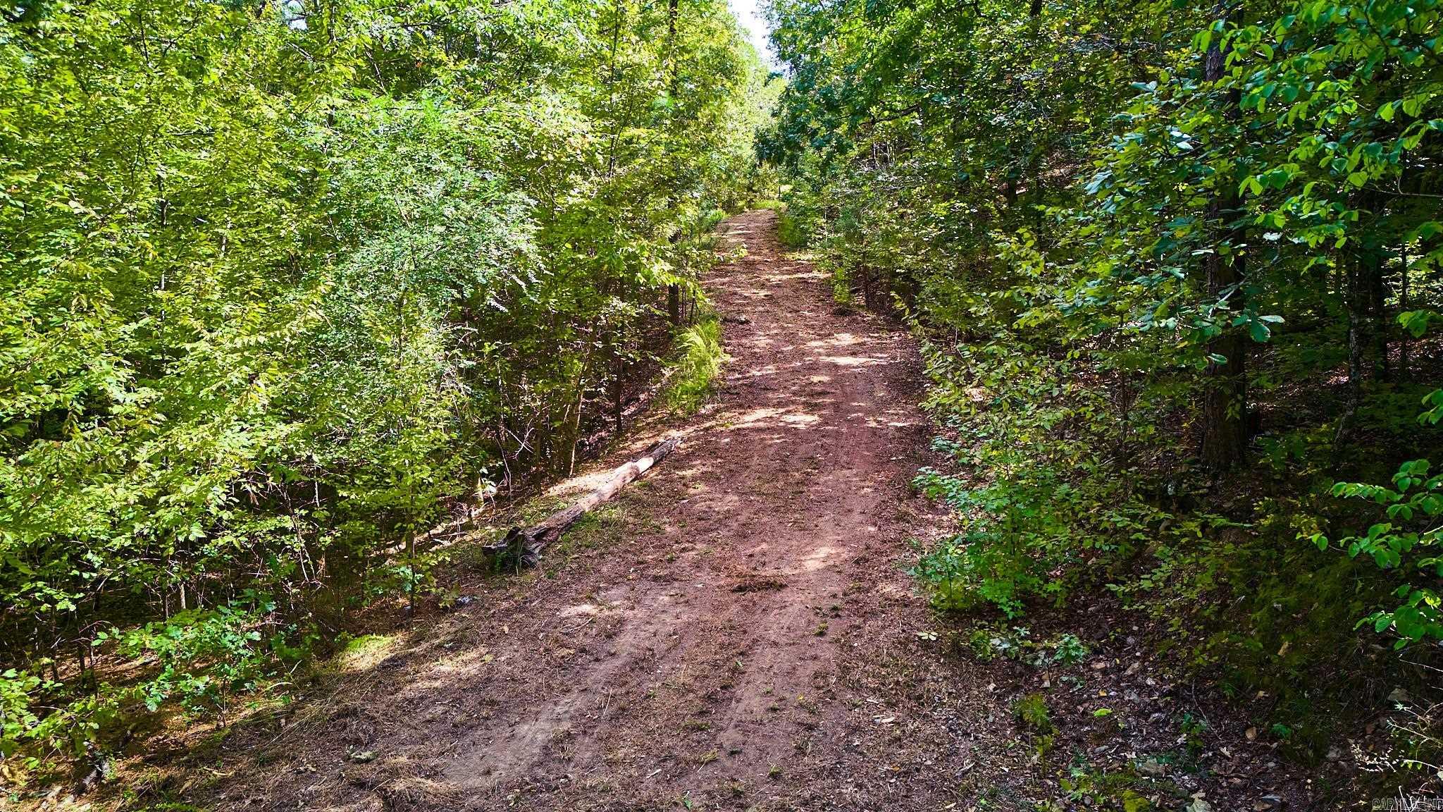 Lot 17 & 18 Tall Hickory Road  Hot Springs, AR