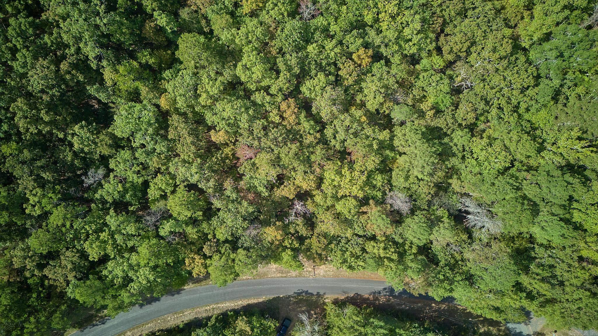 Lot 17 & 18 Tall Hickory Road  Hot Springs, AR