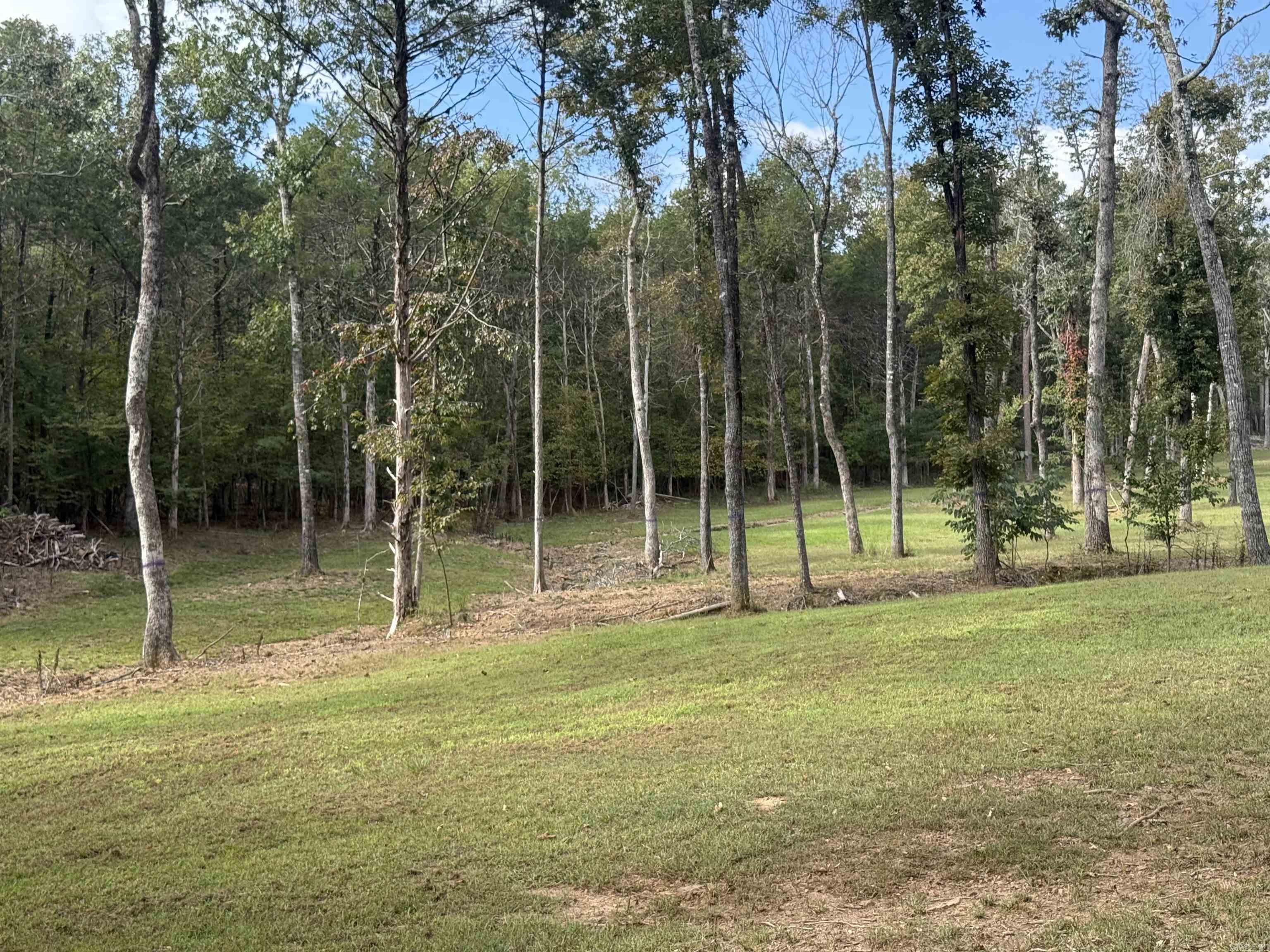 287 Zoe  Clinton, AR