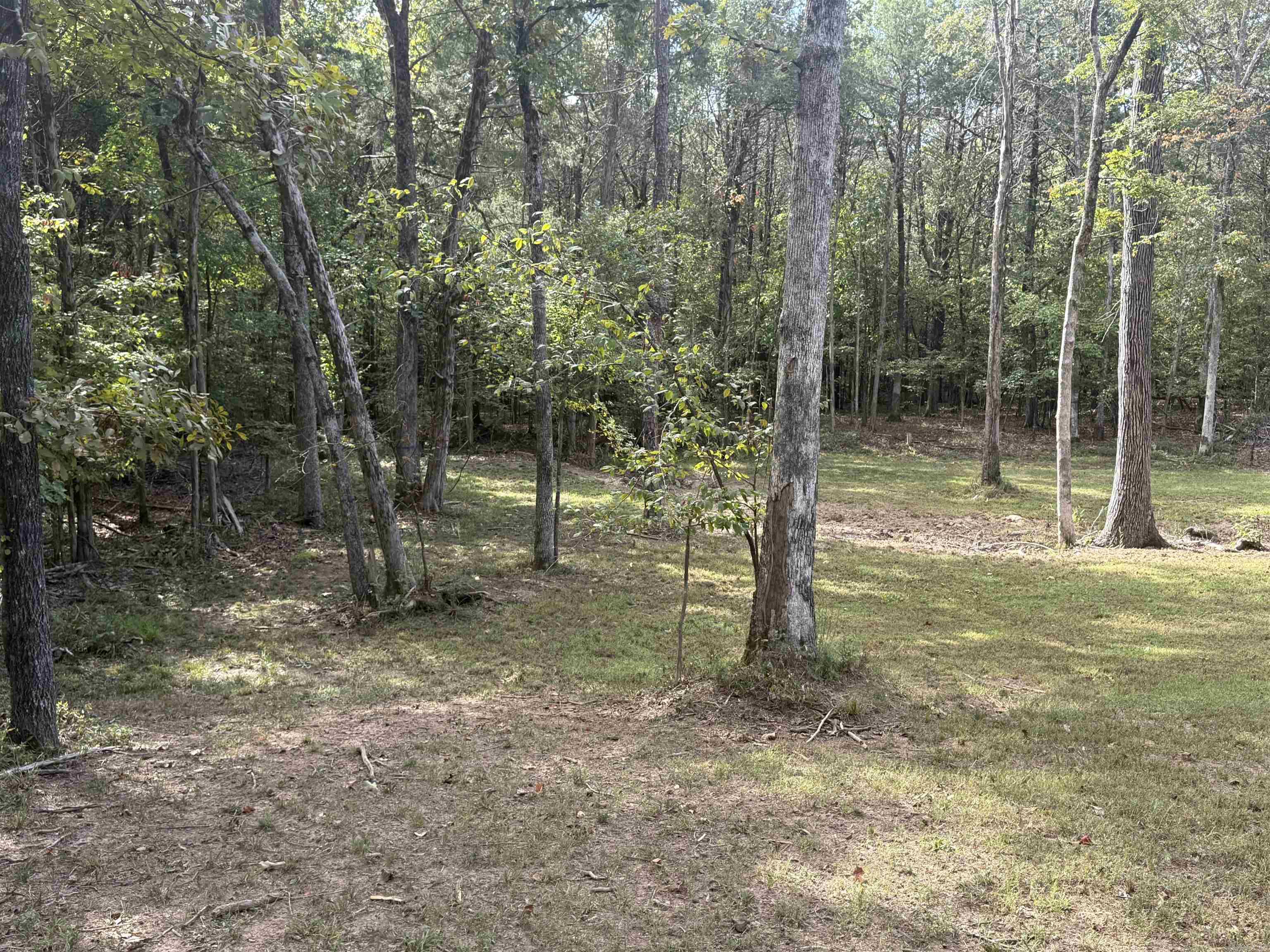 287 Zoe  Clinton, AR
