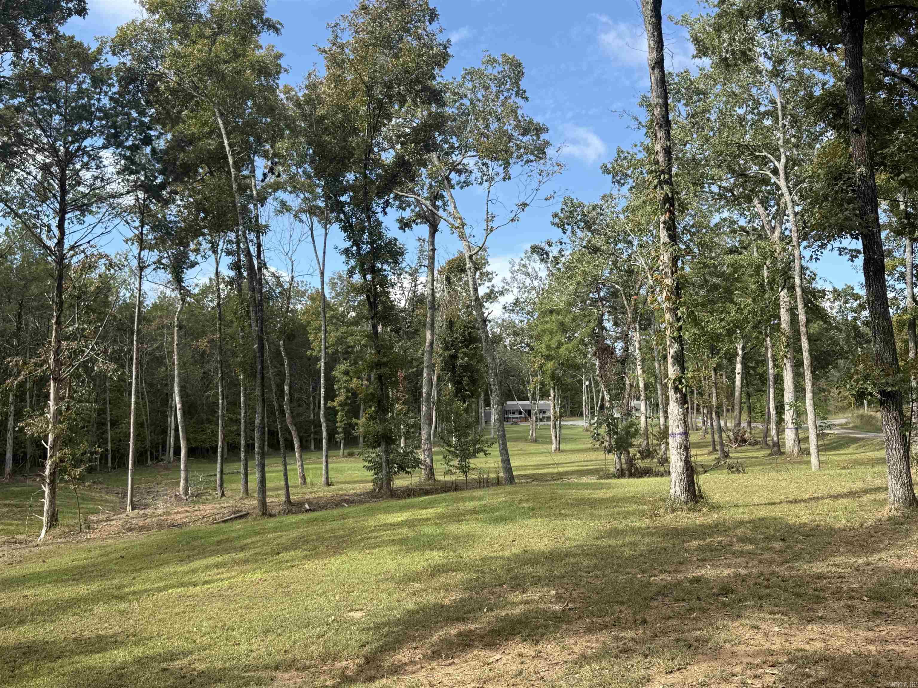 287 Zoe  Clinton, AR