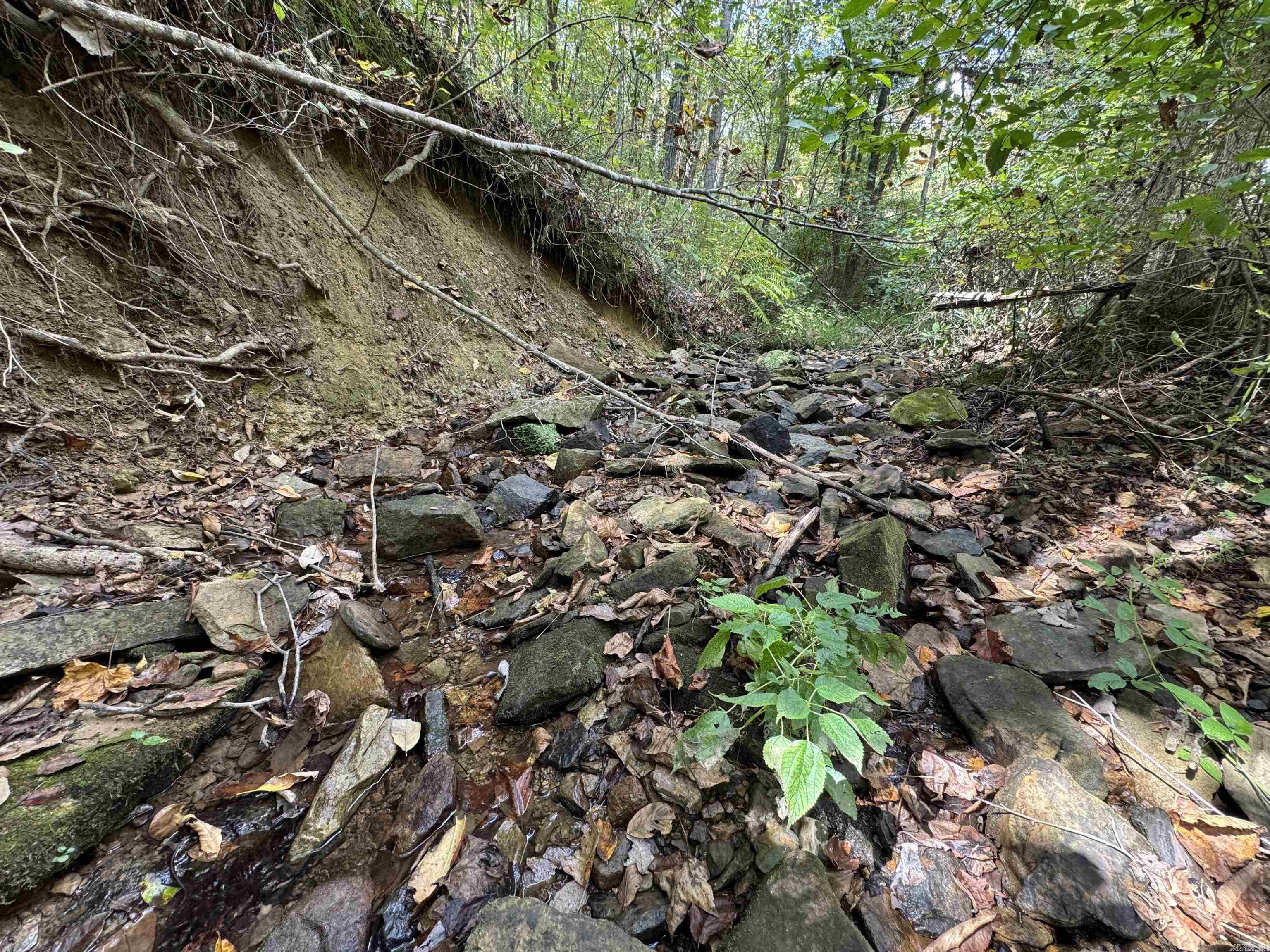 00 Calico  Clinton, AR