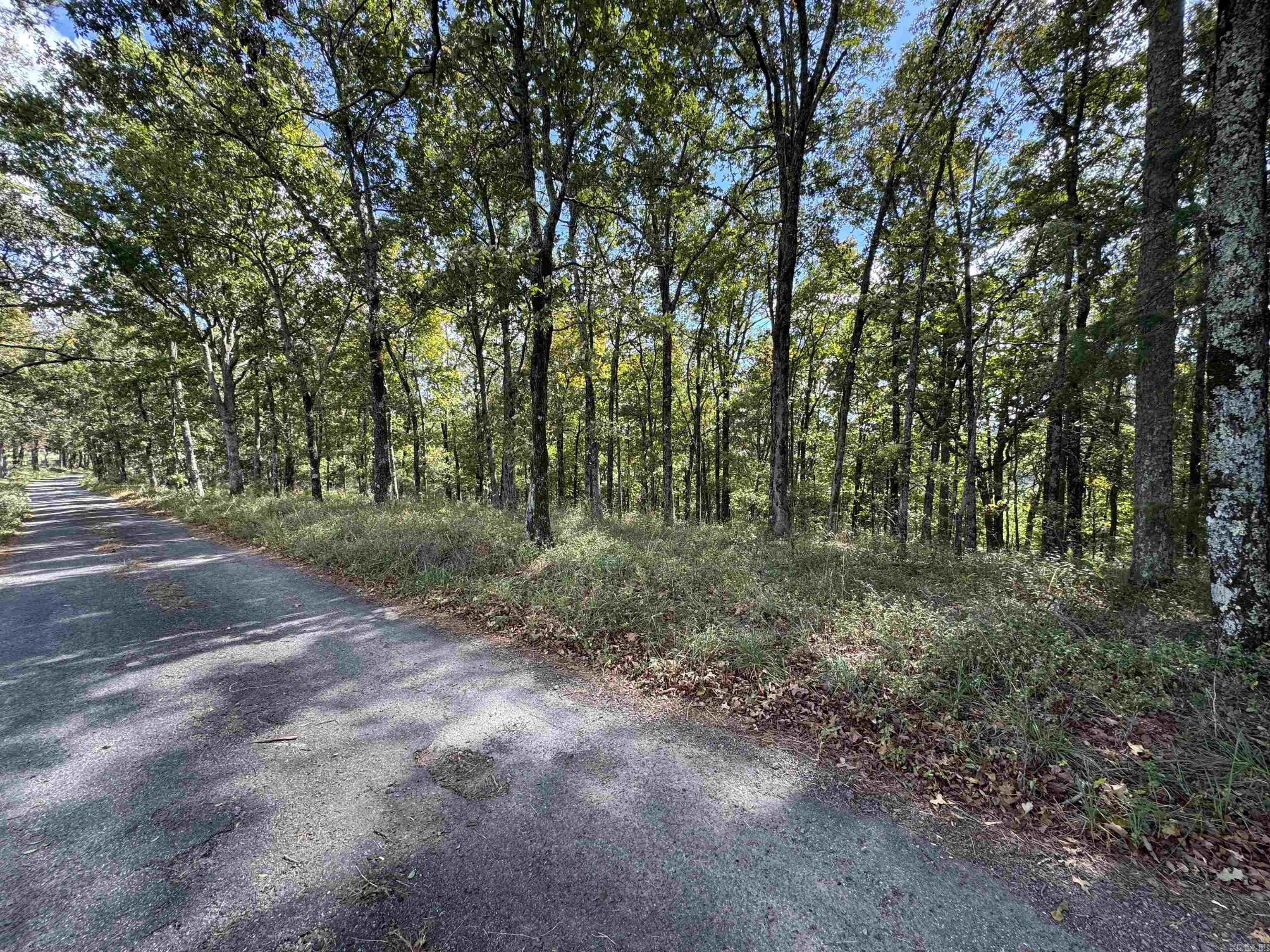 00 Calico  Clinton, AR