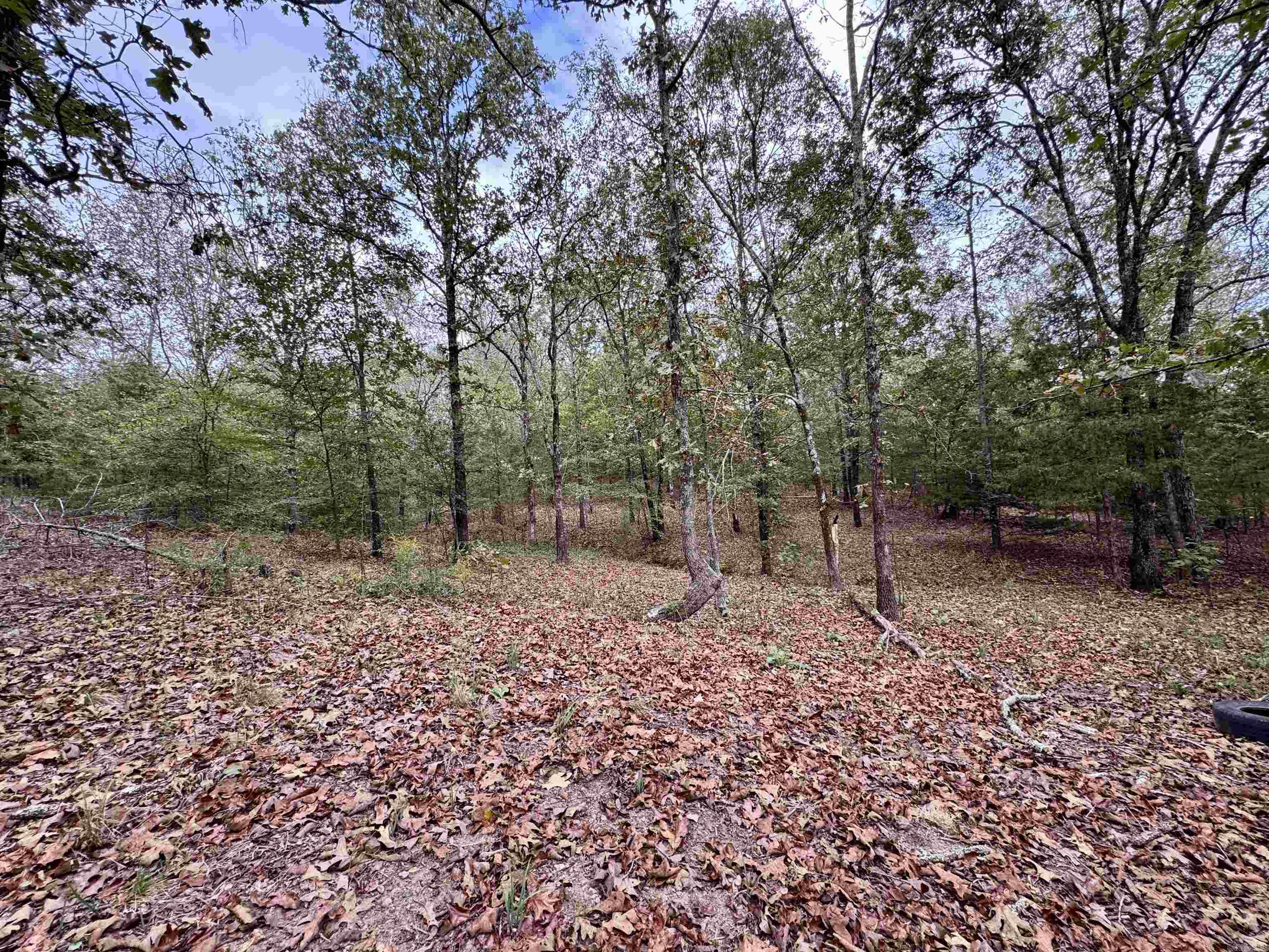 51 Trina Loop  Greenbrier, AR