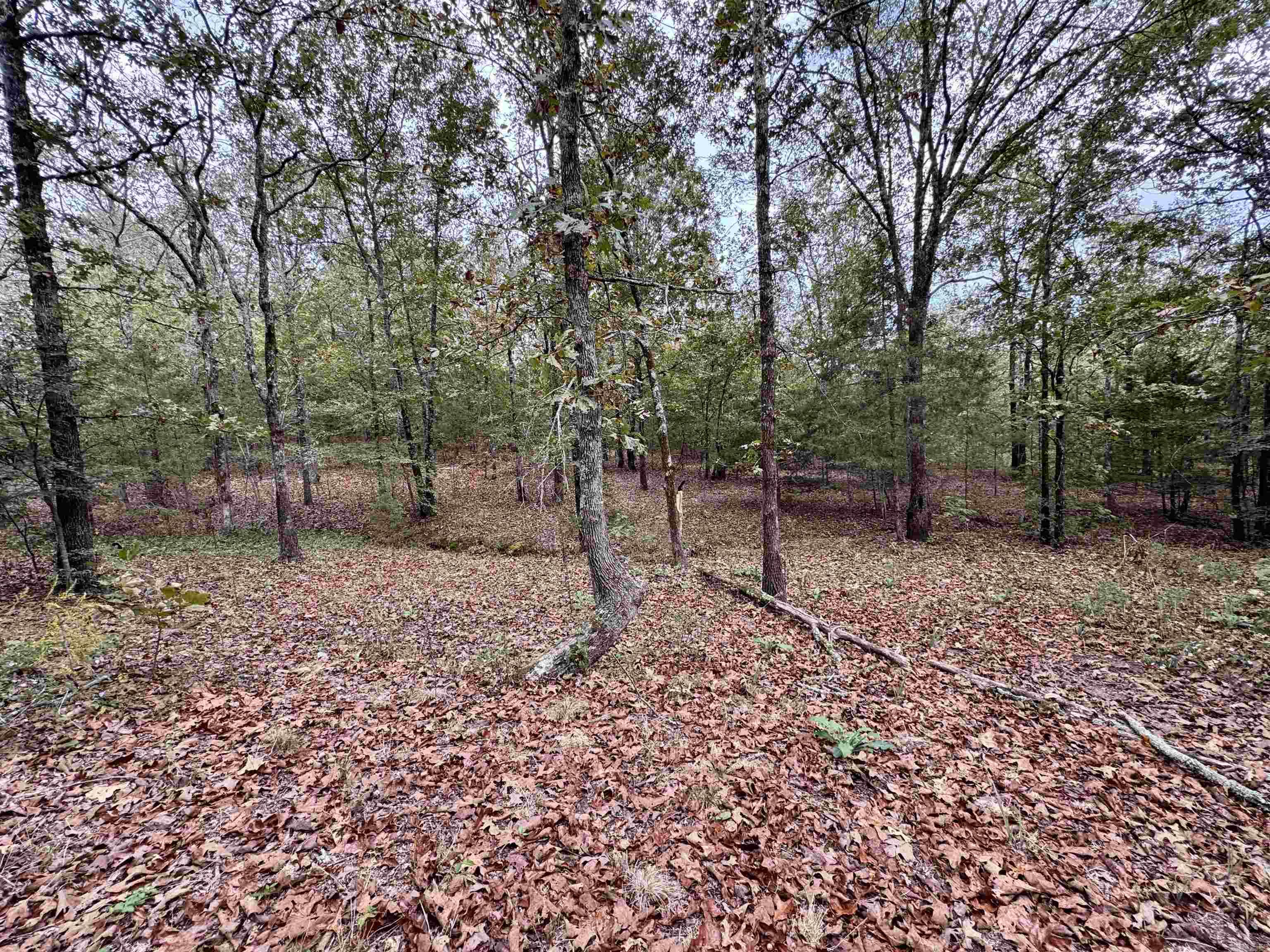 51 Trina Loop  Greenbrier, AR