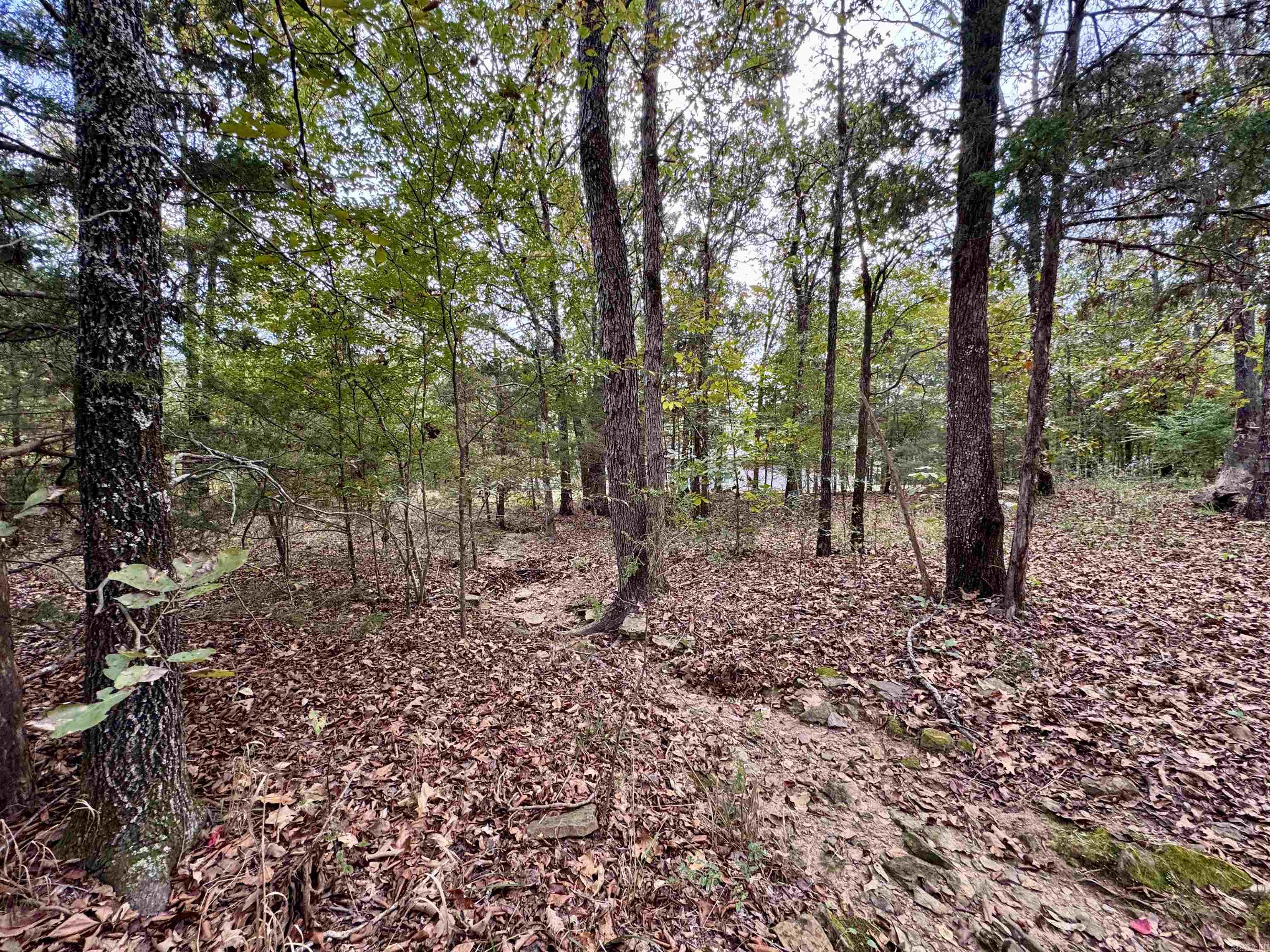 51 Trina Loop  Greenbrier, AR