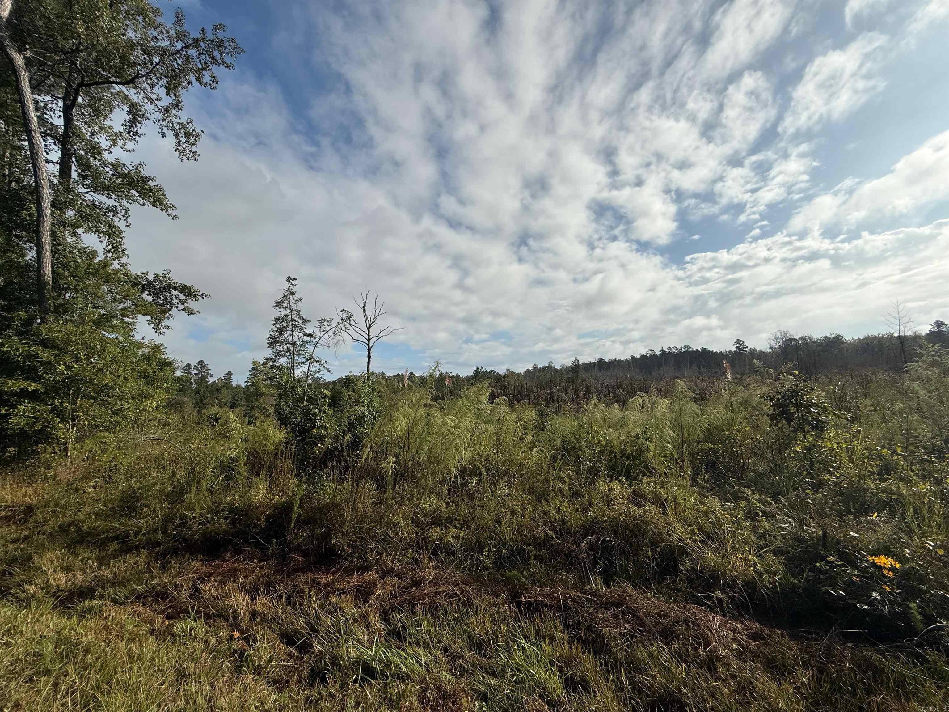 0 E 190  White Hall, AR