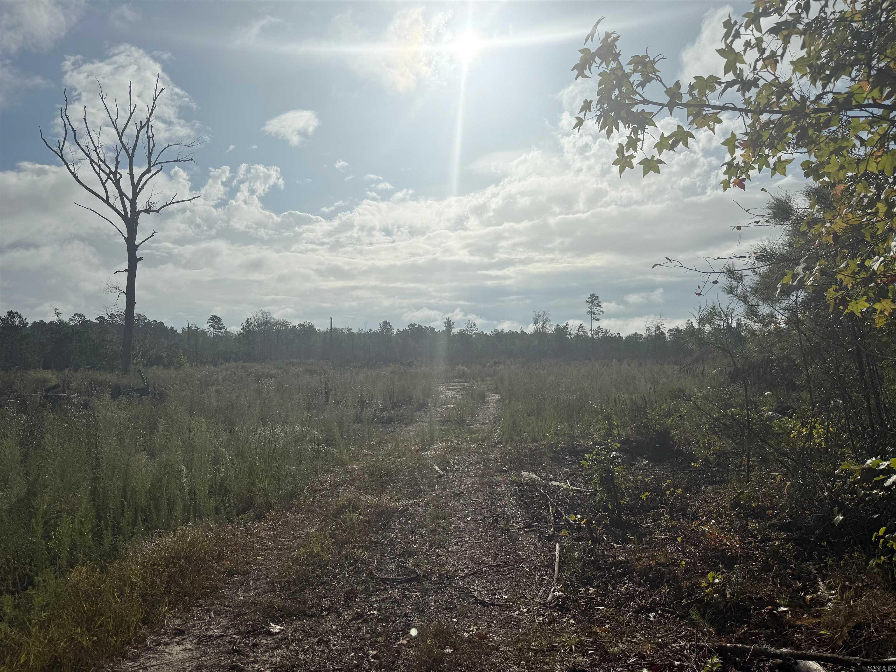 0 E 190  White Hall, AR